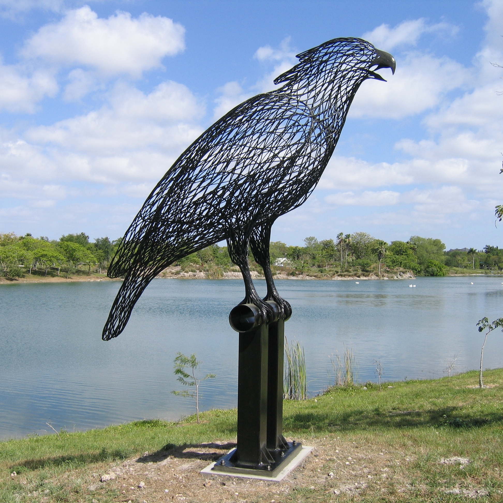 Harpy Eagle