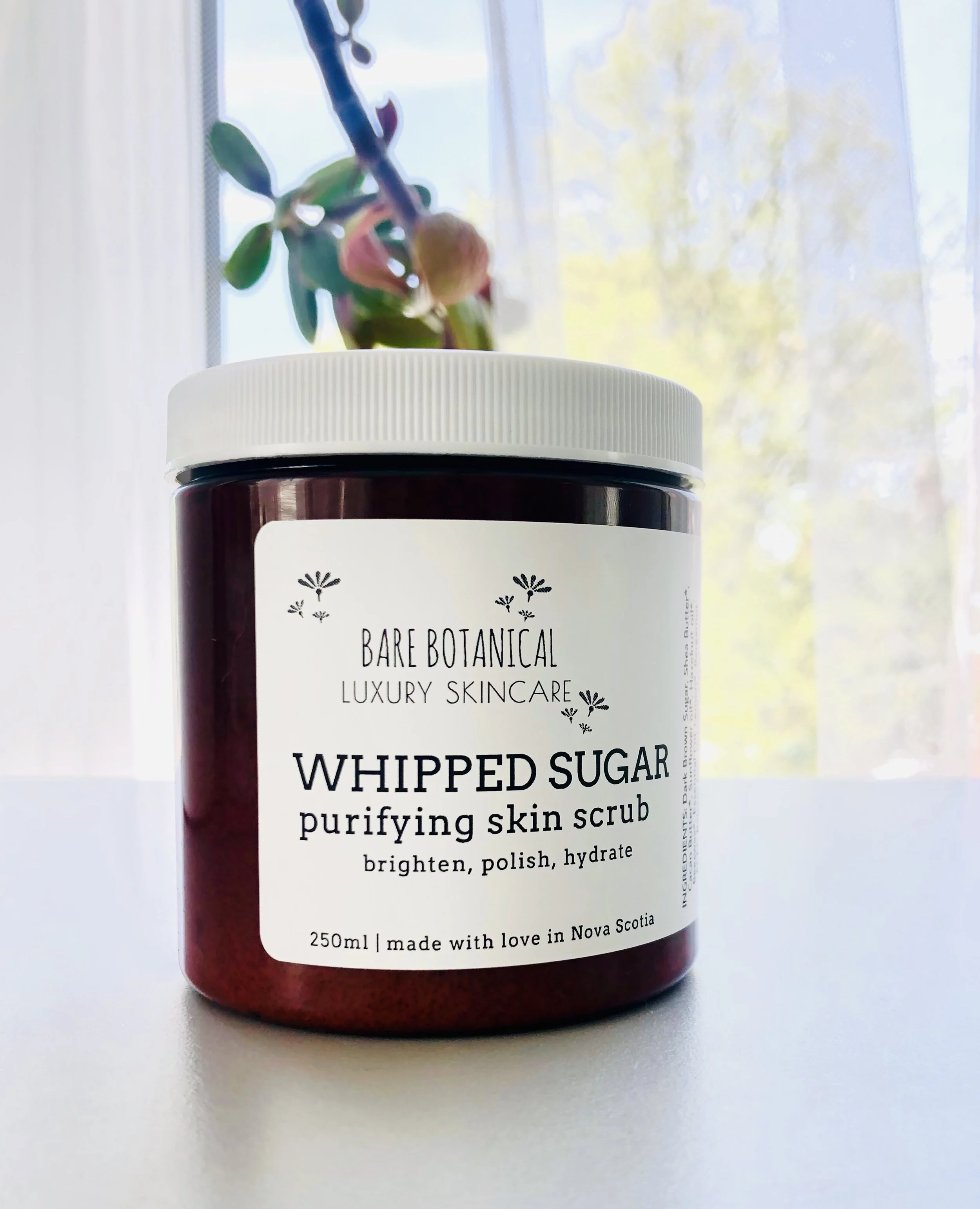 B1BA28B5-85E3-42B4-95A2-6ADF4B19C43B