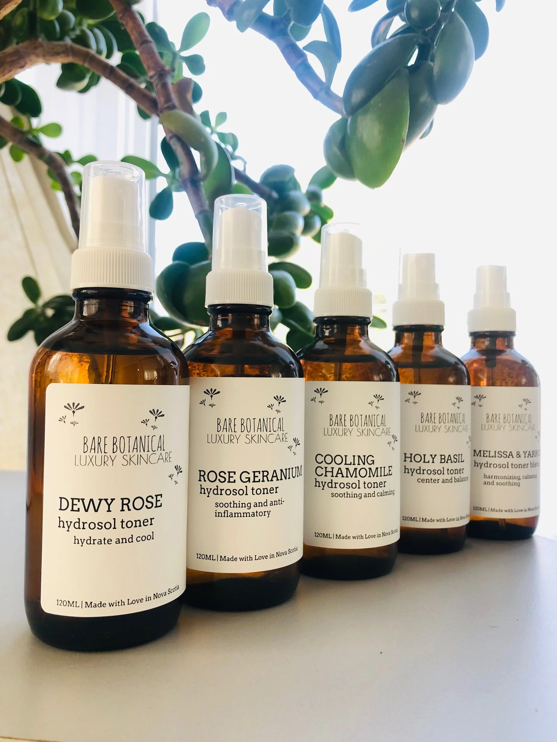 230ADEE6-874D-4737-B02A-03A2DA8B2EDD