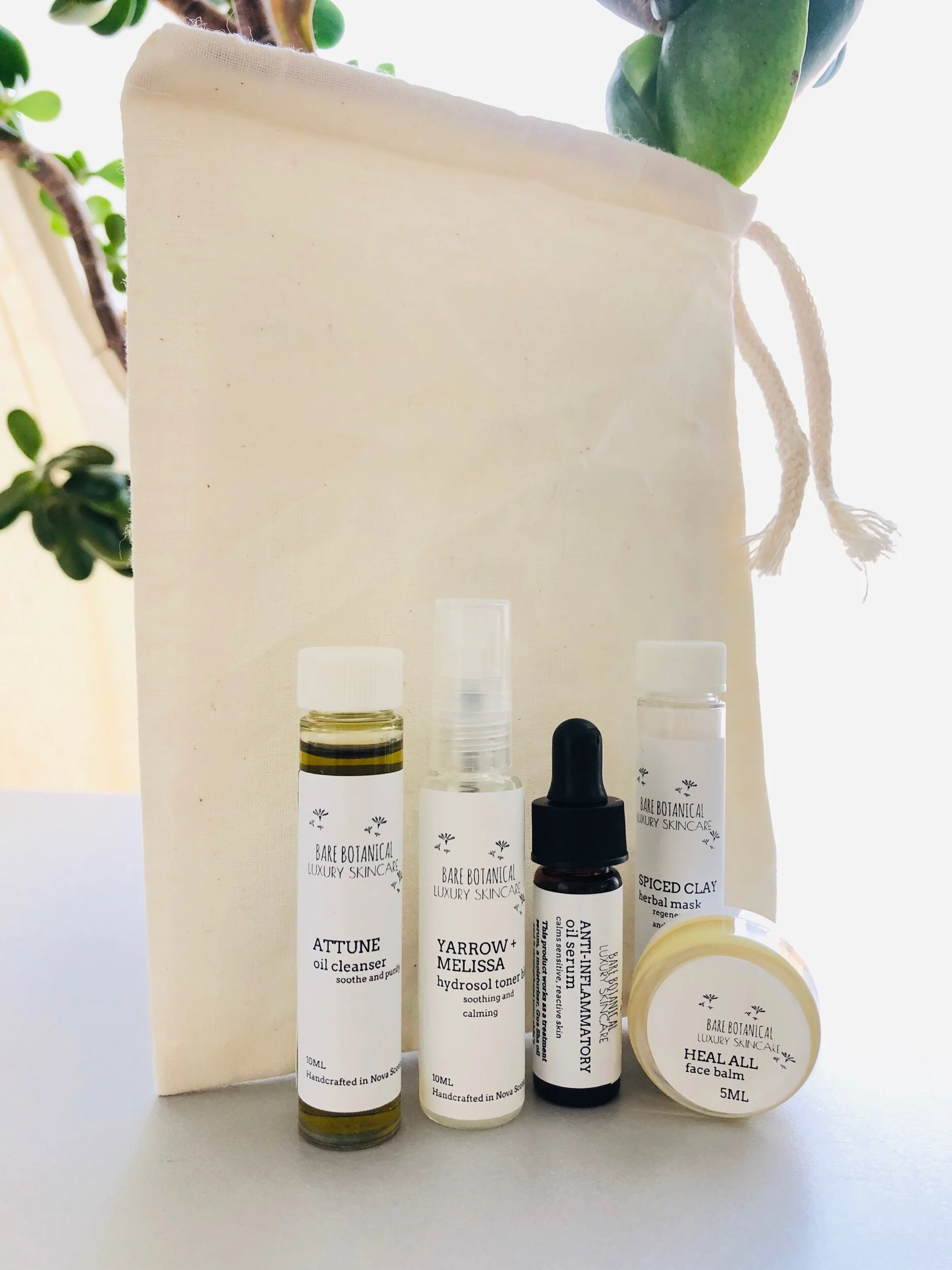 A3DBB25B-4E84-4ABD-9309-AC86FBF8C086