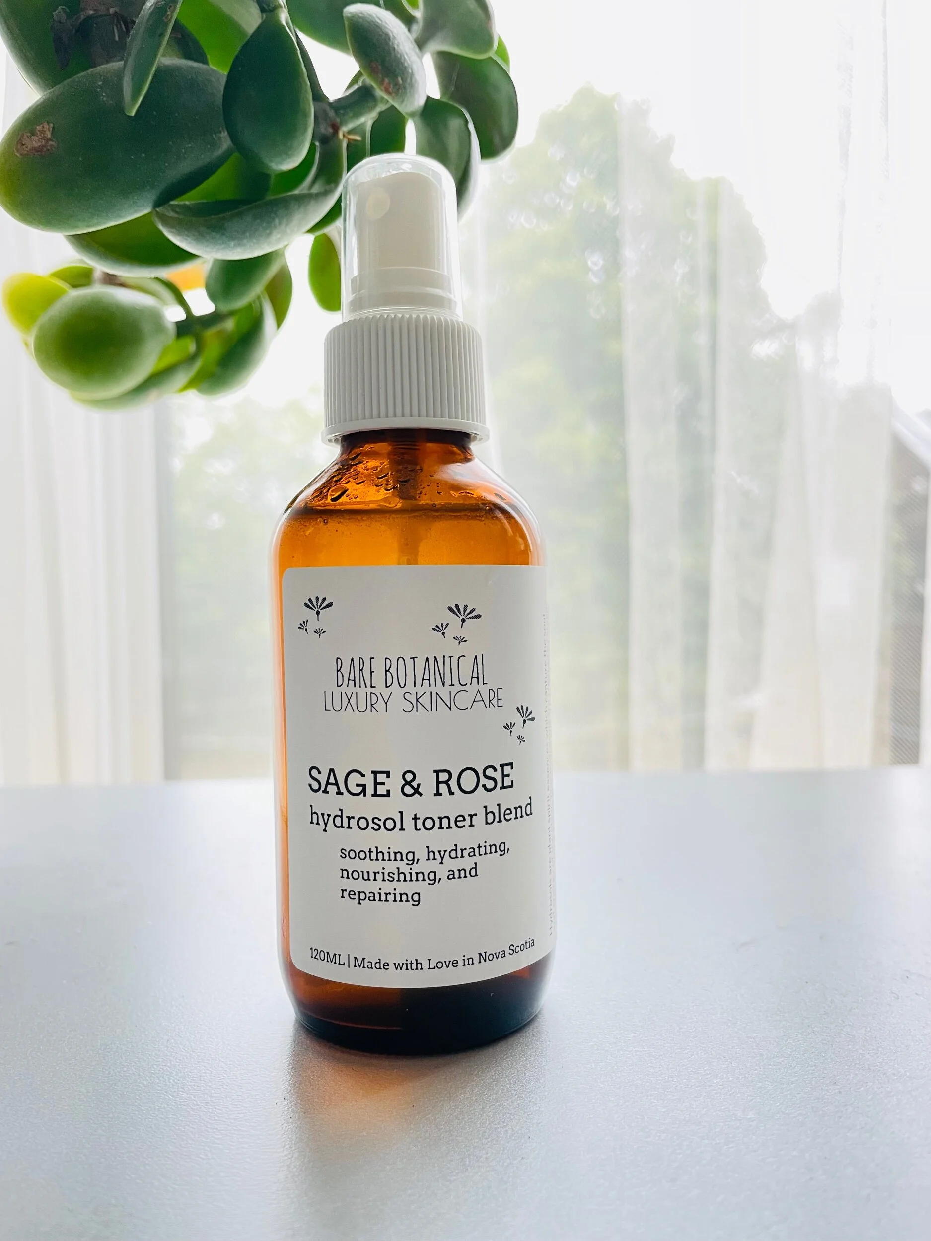 FB219CB9-E326-48CE-A17A-5D8766F8CBC1