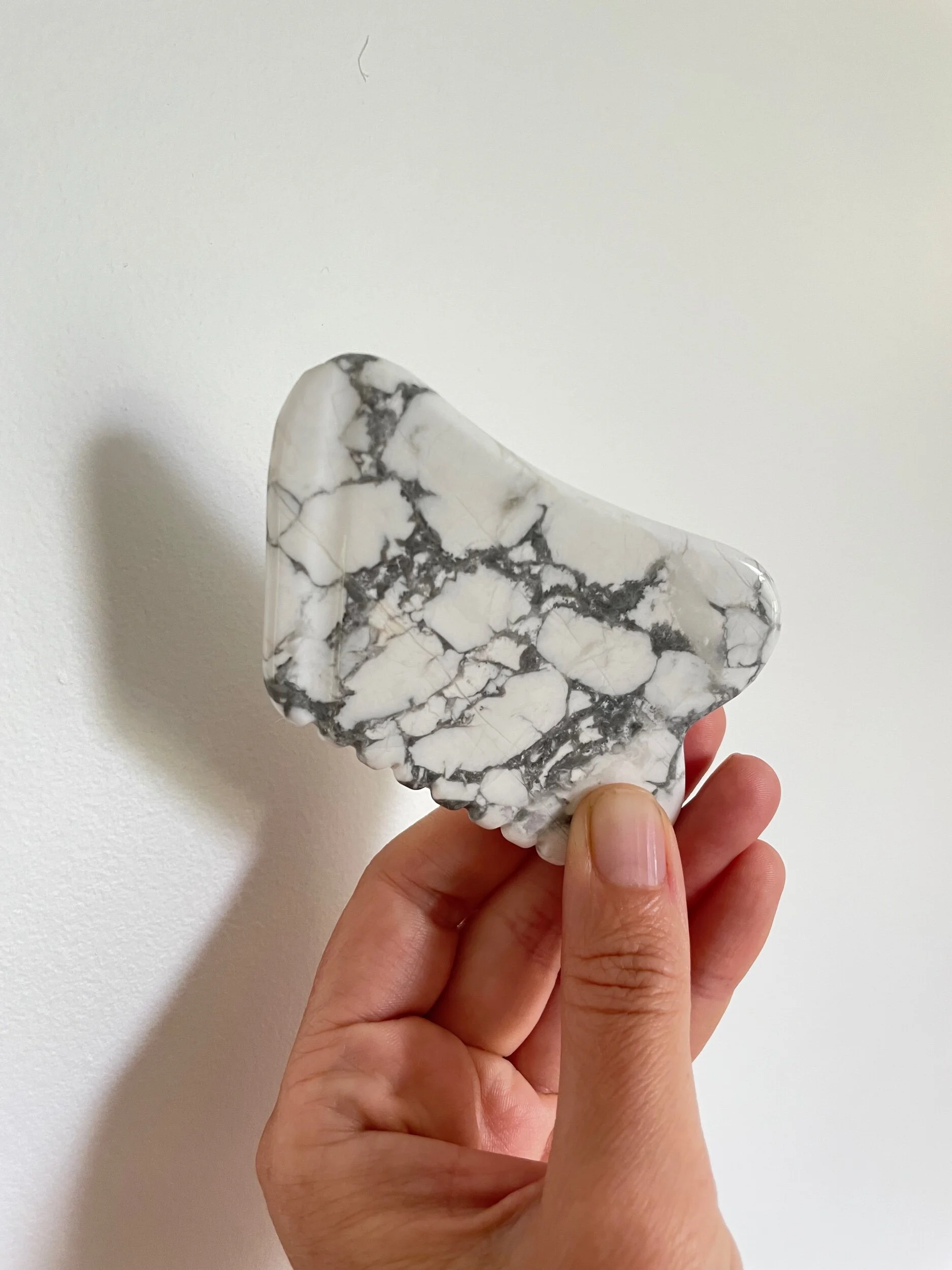 76976835-8446-4401-8972-11F37C042993