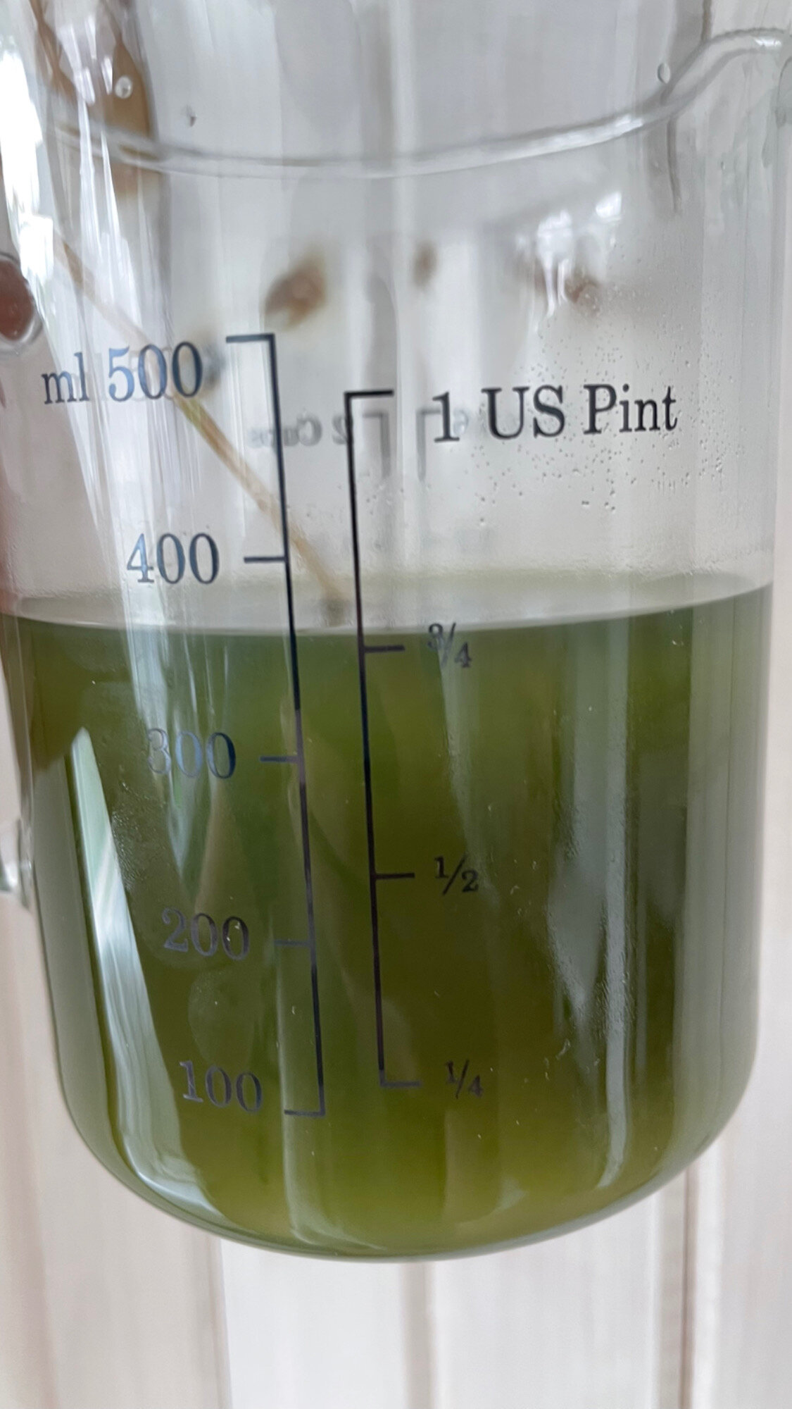 37A1E9A9-4EDF-48D0-950E-D9C4424A37BE