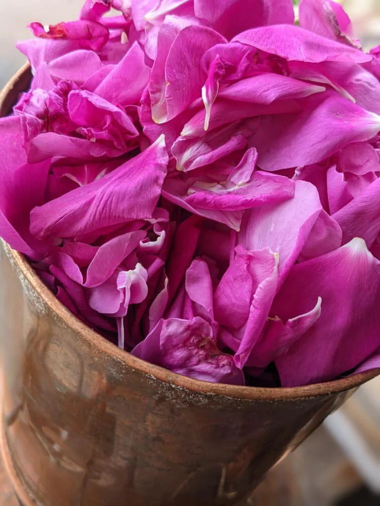 DB382C74-88B8-48A2-BC4D-75A14BCFF033