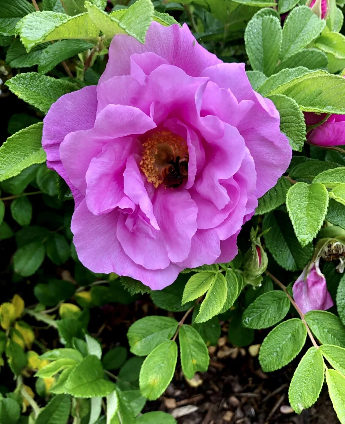 7BC8B46E-72AA-4CDD-BD5F-AB82E562C294