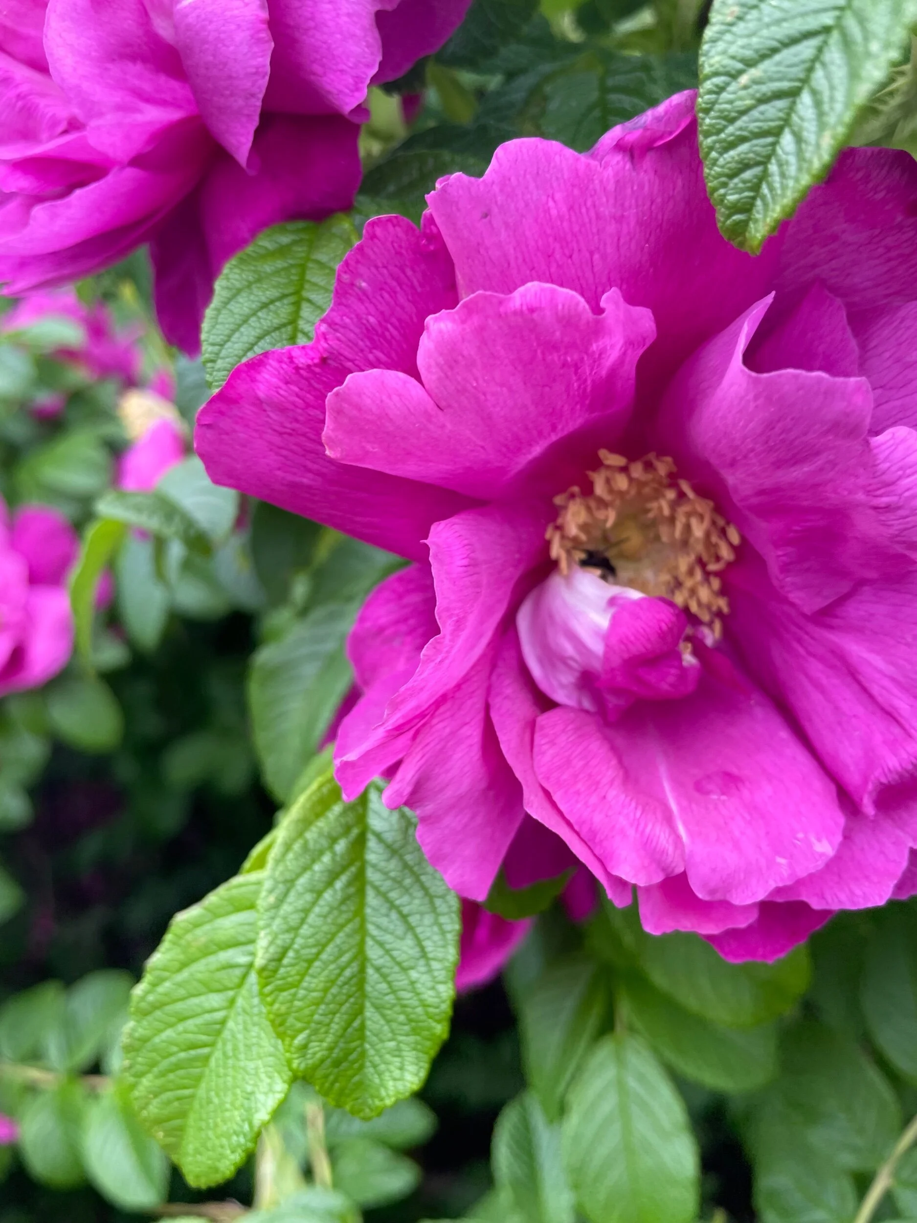 D85F7D7B-EDA3-4234-9527-0EB93C4D9C18