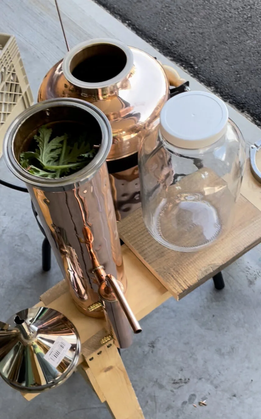 189442CD-D4D1-427E-93E7-4032062E6006