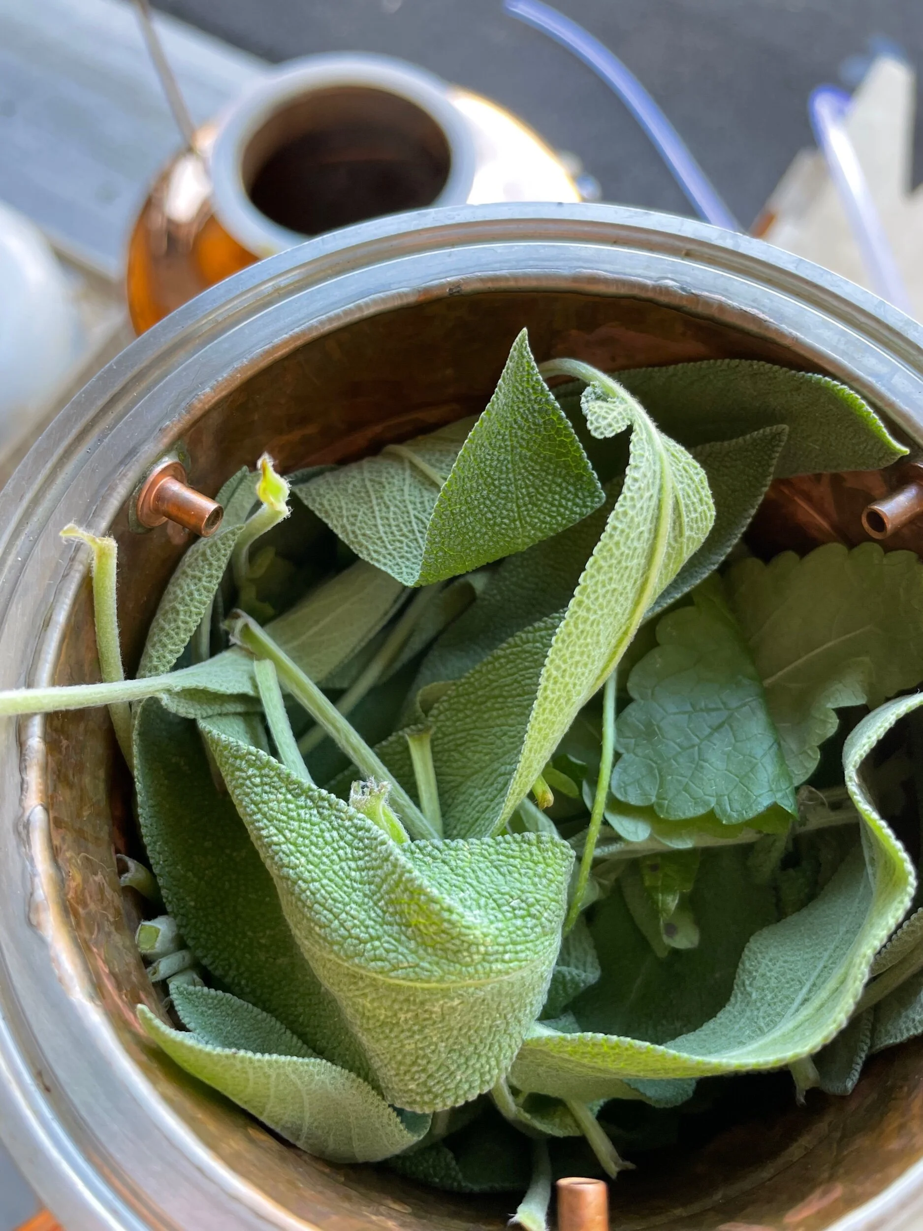 1BD77F17-CCDB-4D71-87E9-11E3847ACD03