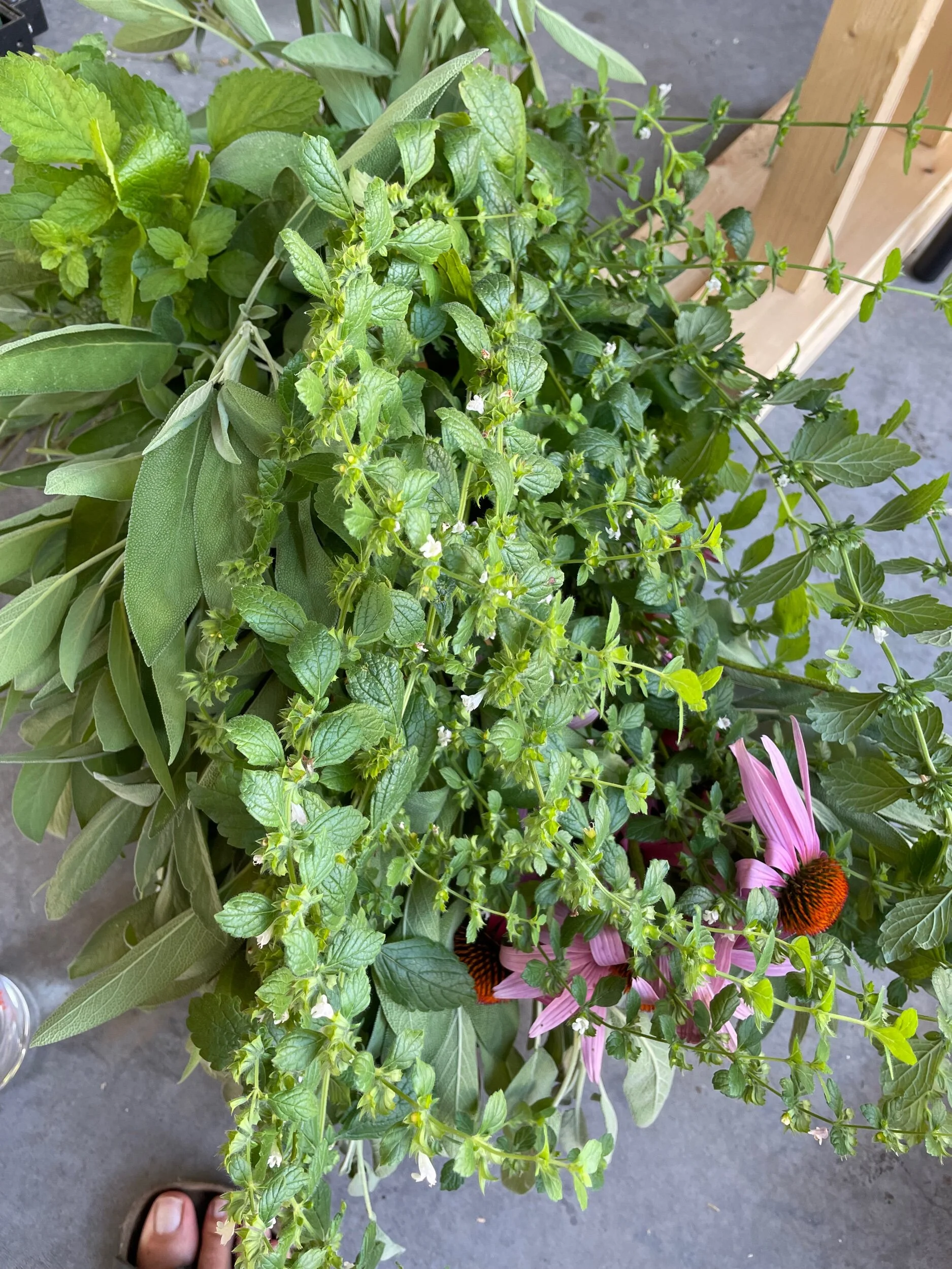 62CB22D7-B478-410C-AB7E-92E7E166F0A4