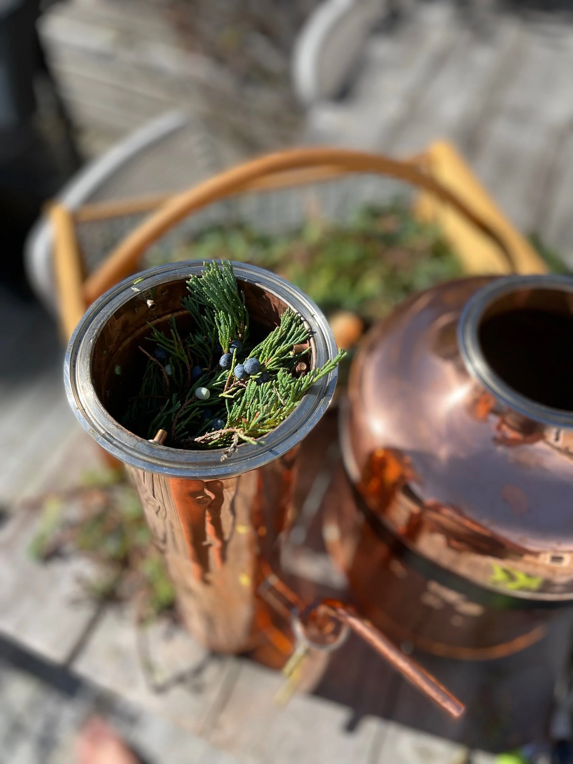 FF0FF92D-0ACF-4EBD-84AC-D4DF693784DA