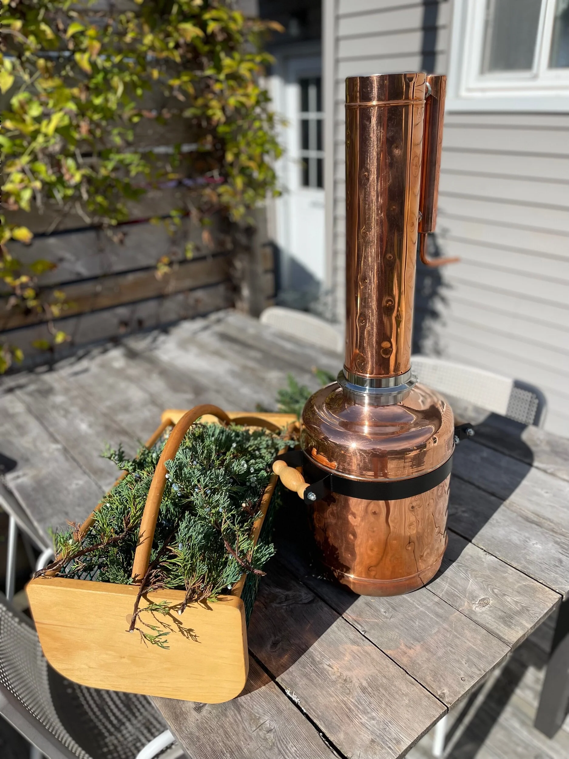 BAC9442C-4BF2-4B29-AC2F-F1068A571541