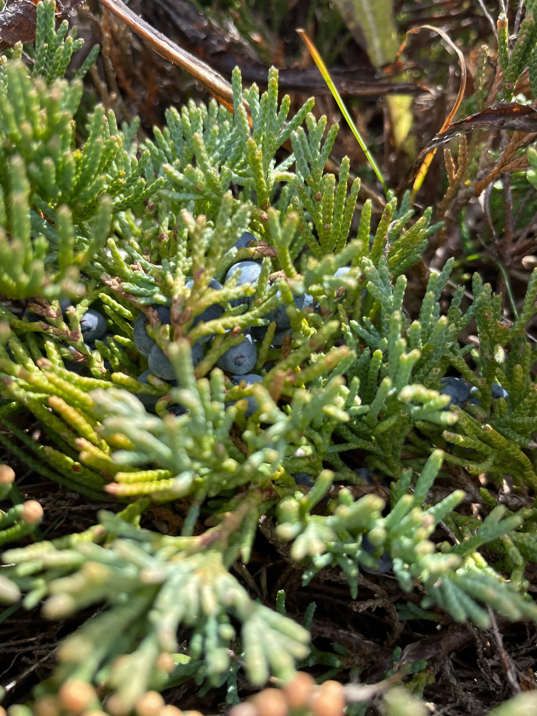 542F2ADA-2B90-4746-A4CB-ED4ABB65A580