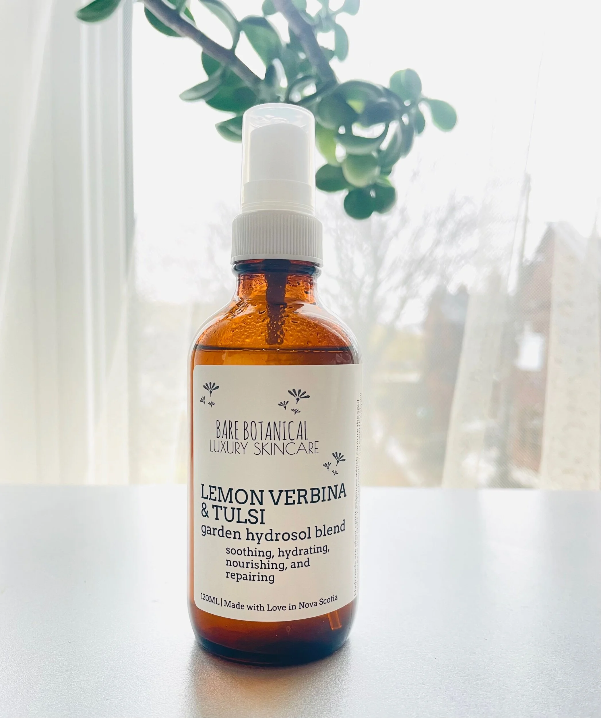 F05FB221-F7F3-4BB9-B251-593A113DECF7