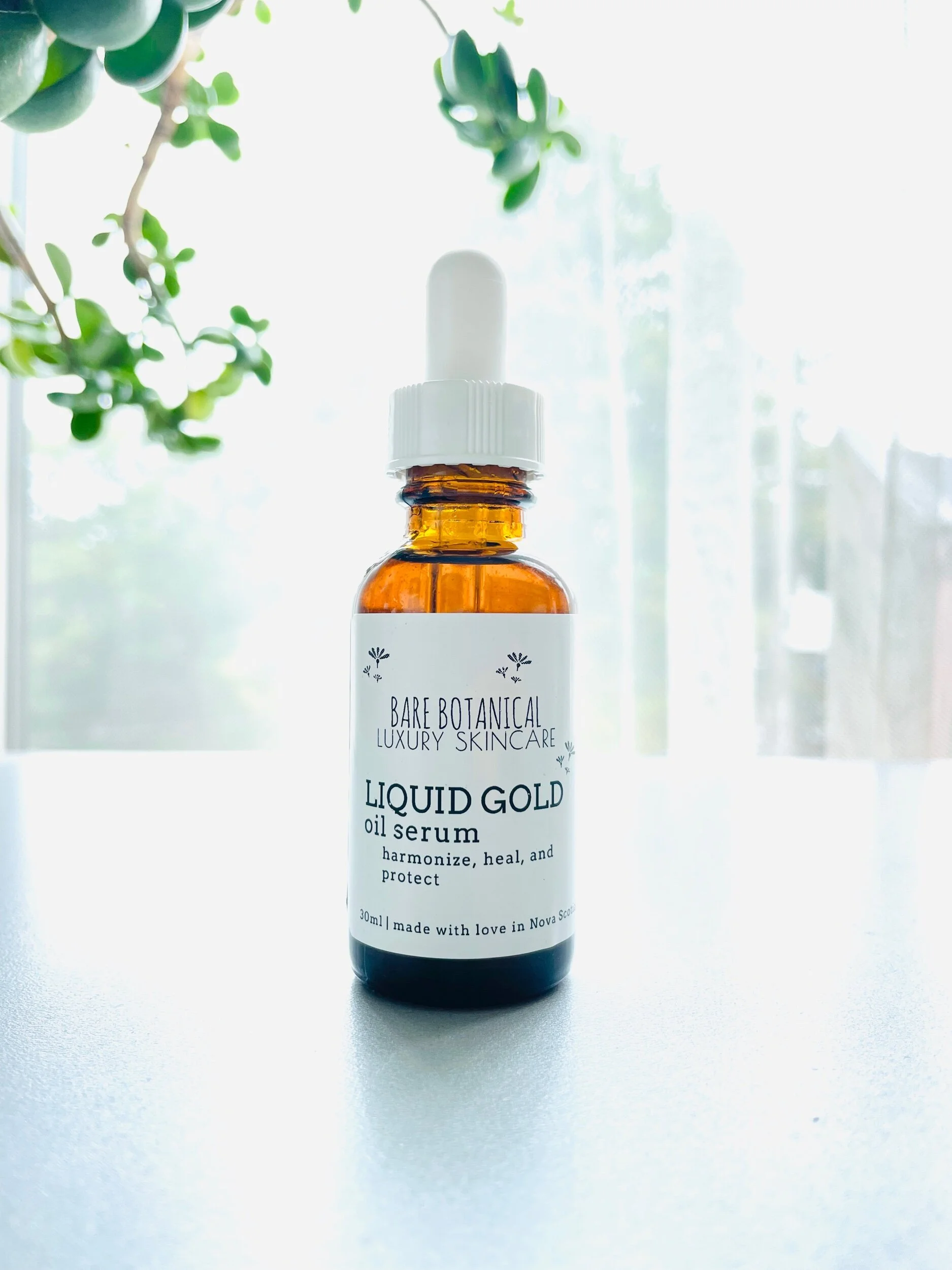 AE540211-9E57-4E82-A35C-0BB800C177BA