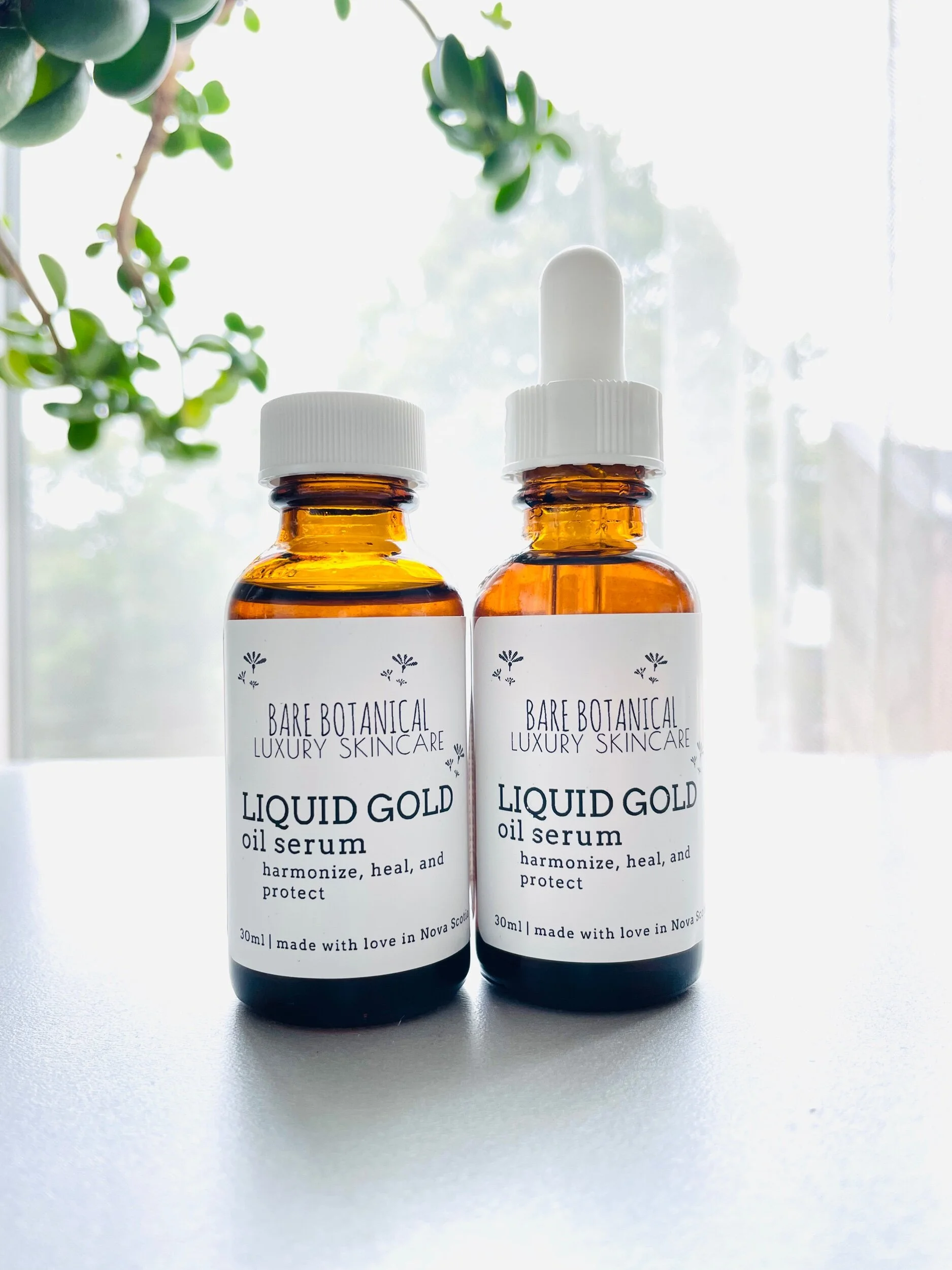 6E11DB8F-238F-4138-A4B6-BC9022A36183