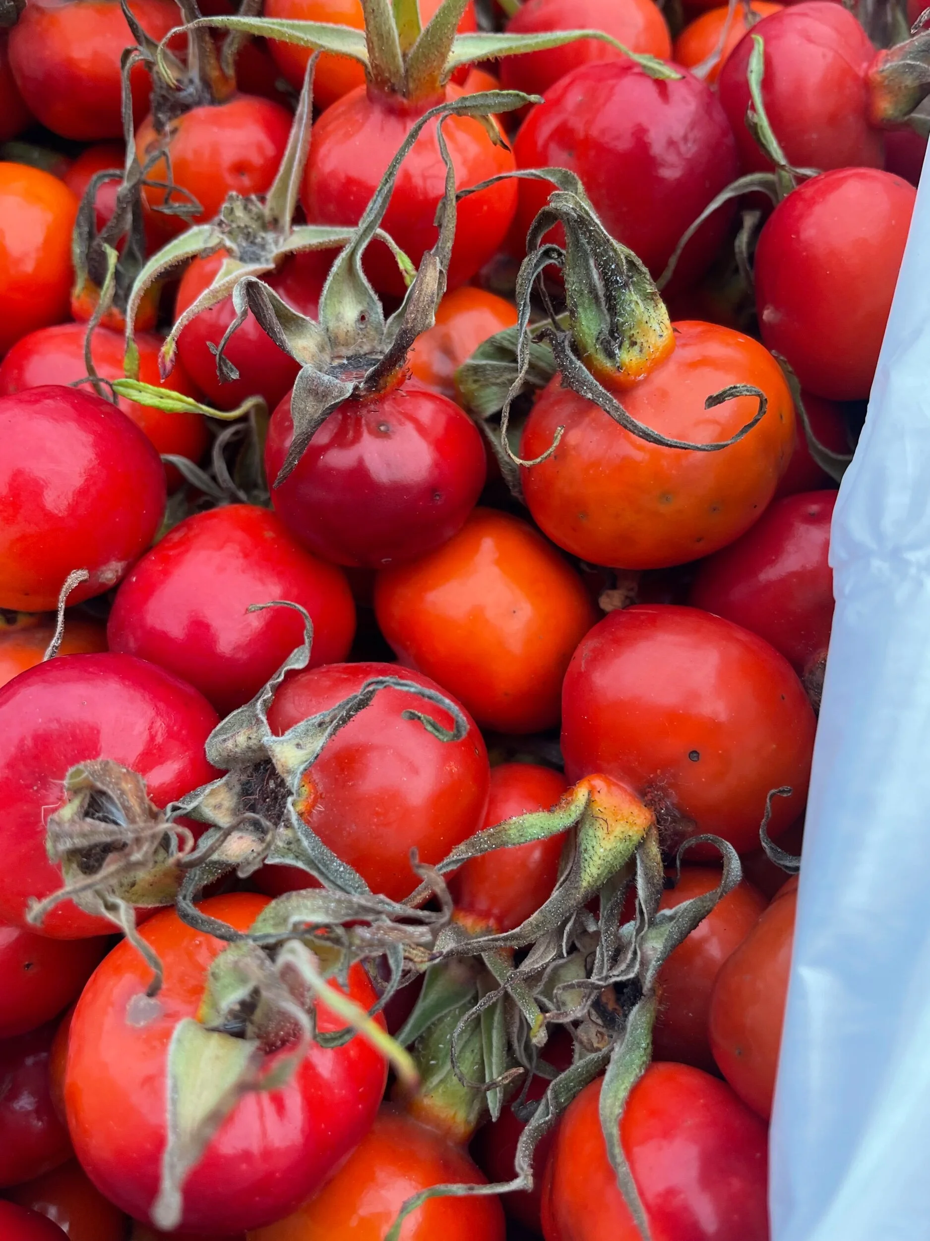 689F69B5-6434-4452-A345-9281762404EF