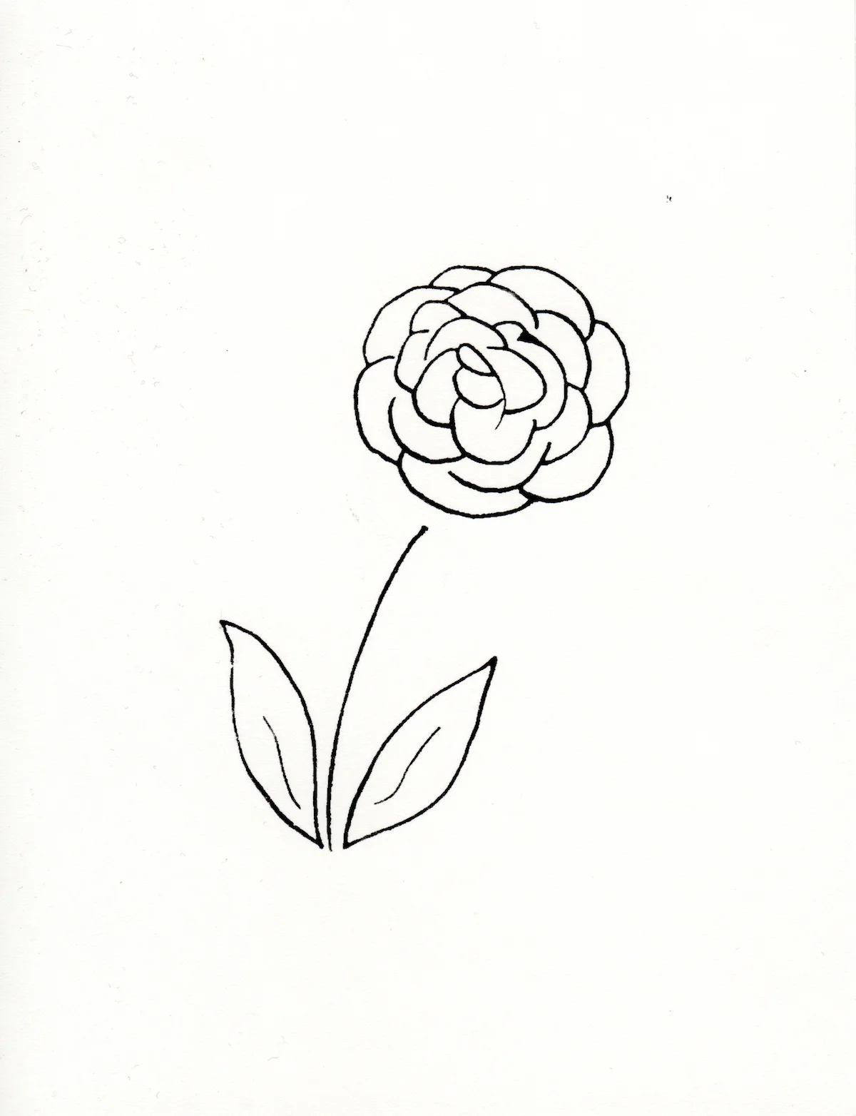 Silkscreen cards_11 copy.jpg