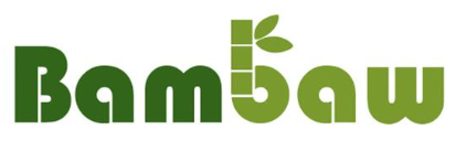 BAMBAW.PNG