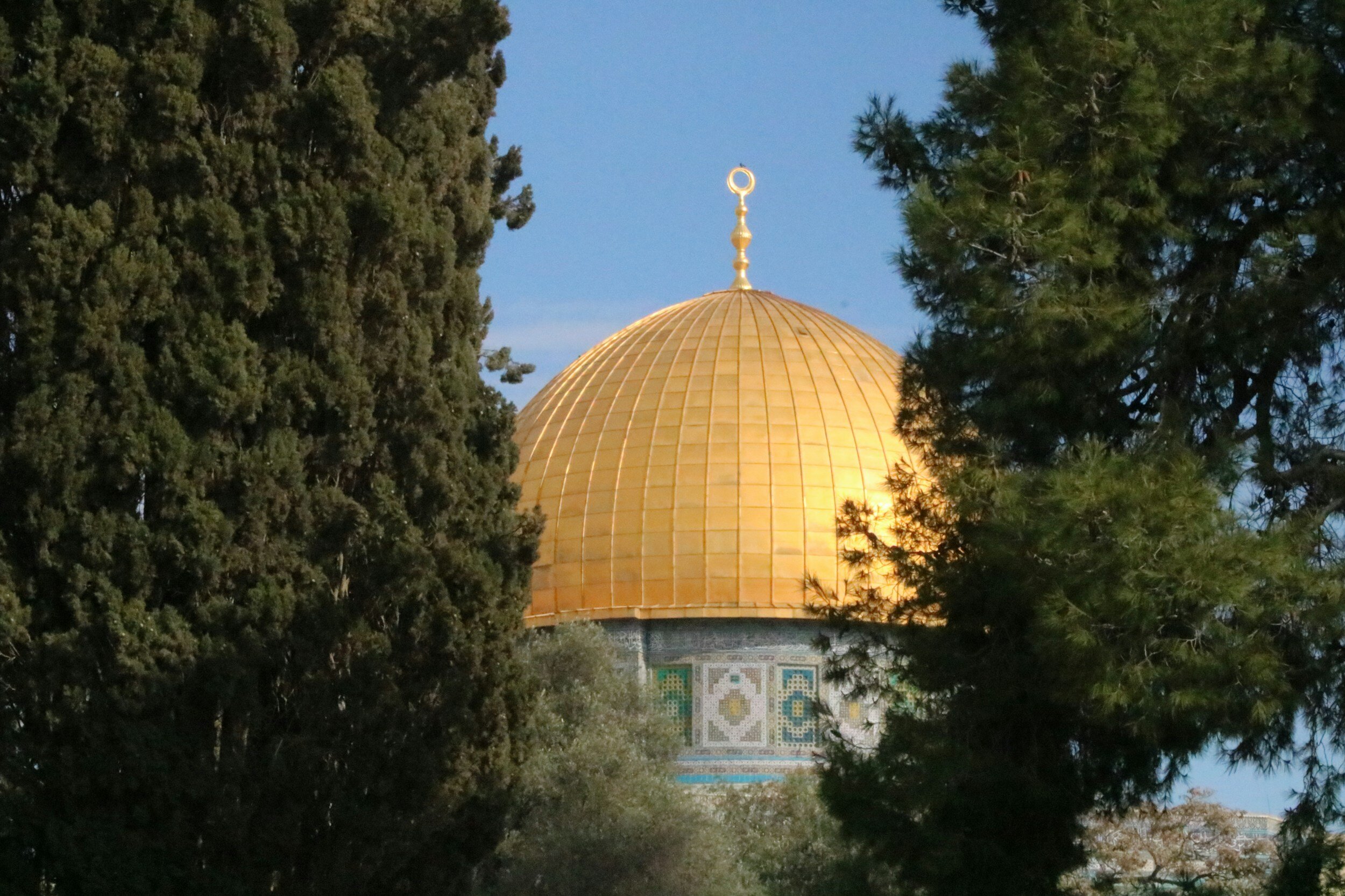 Lenten Series: Palestine and the Holy Land 