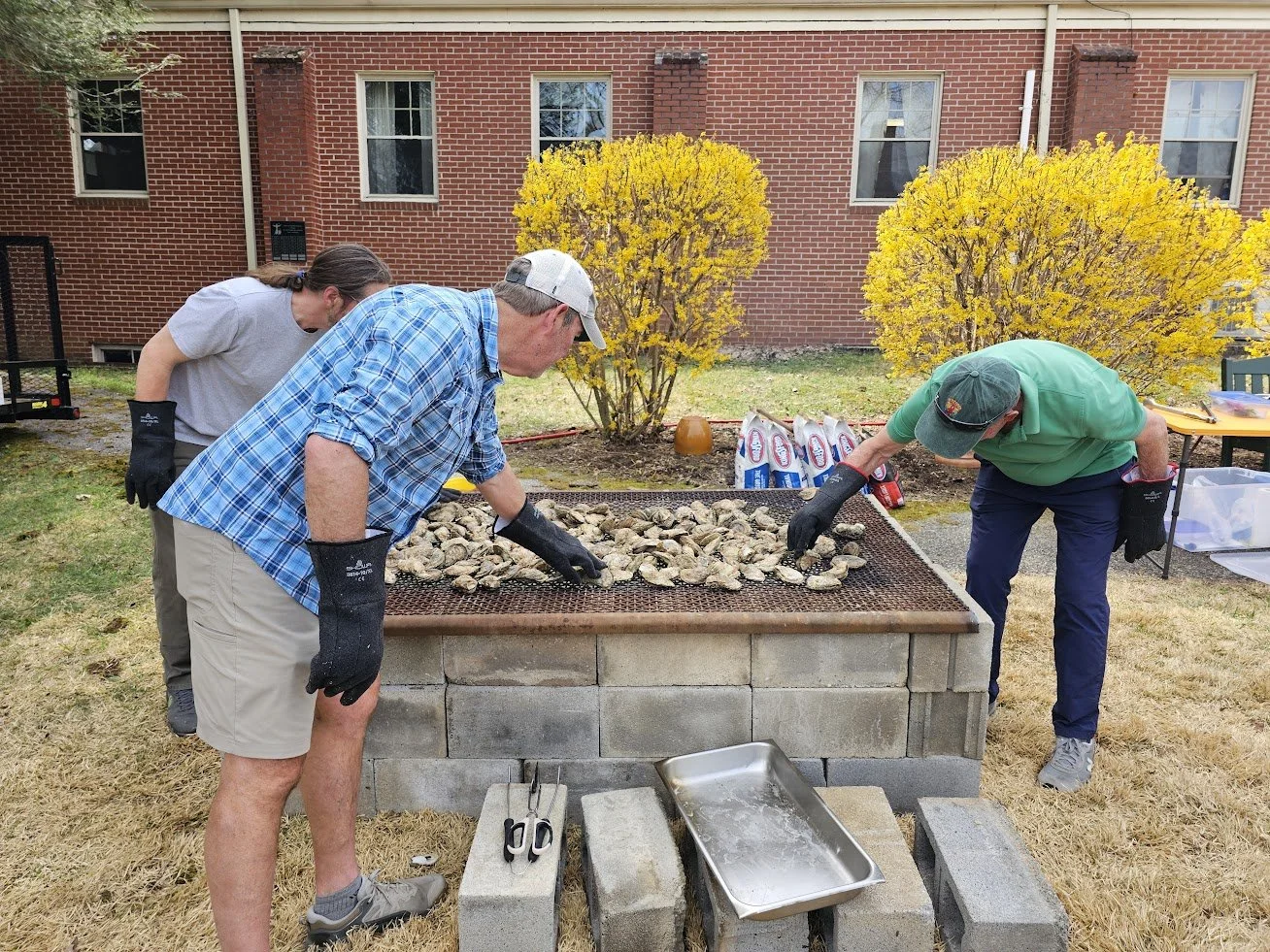 D 20260321_131546.jpg