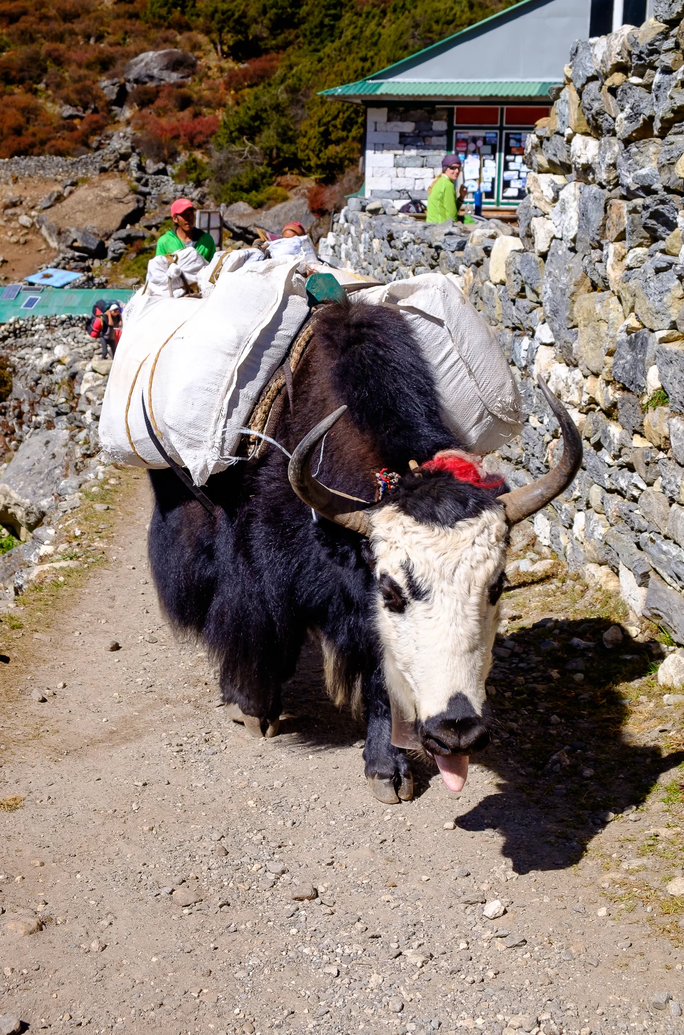 EverestTrekPart8_007.jpg