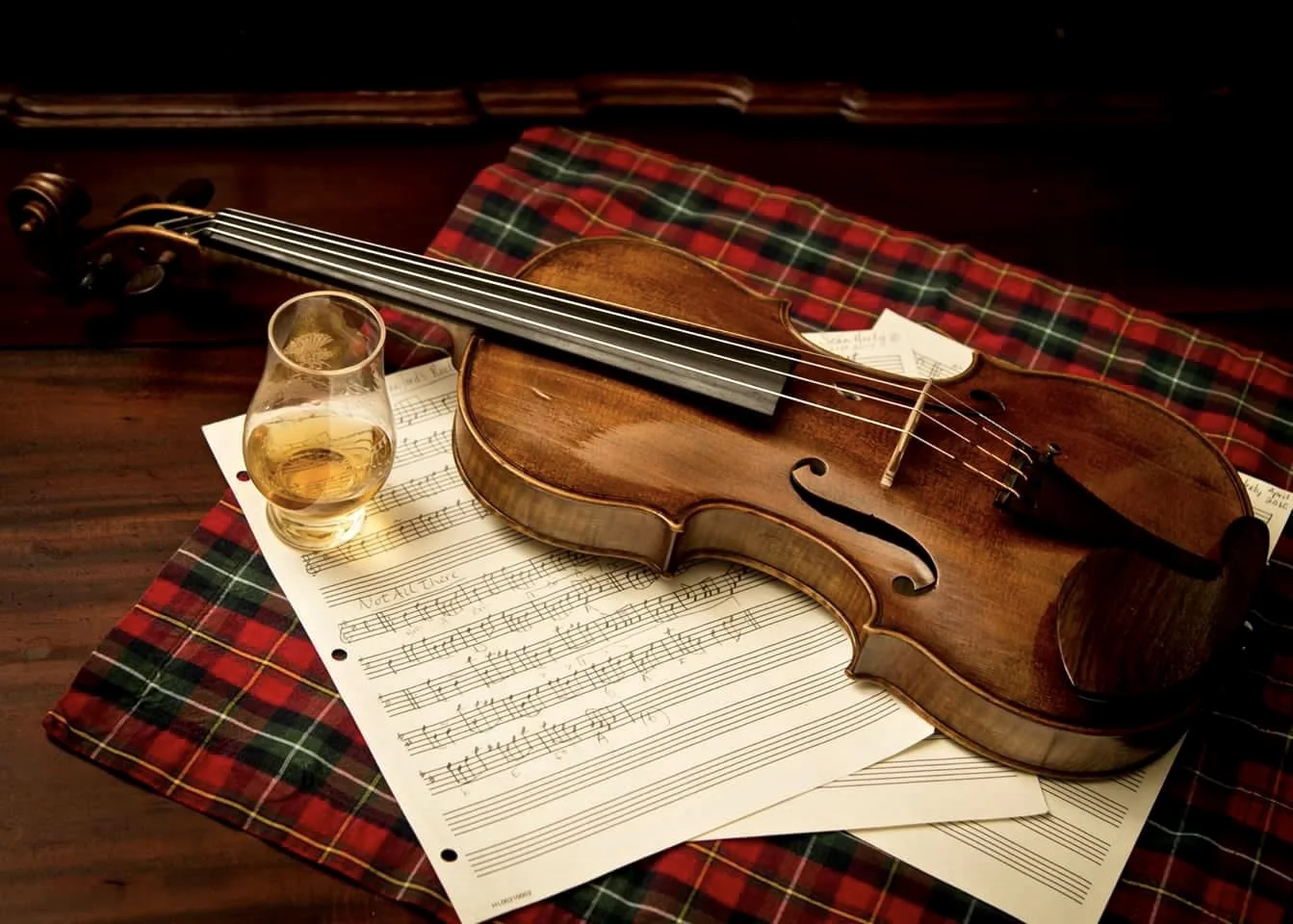 Sean on Faculty at Upper Potomac Fiddle Weekend