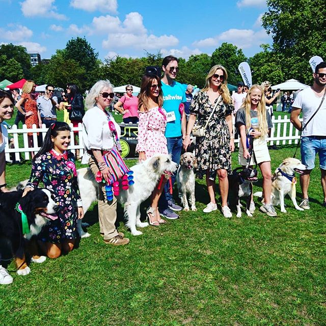 The lovely @penny.lancaster  @lizziecundy &amp; @stormhuntley judging at @pupaidofficial  #adoptdontshop #lucyslaw #rescuedogs #thefamouskind 😍☀️🐶