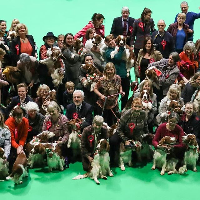 Doing our thing @Crufts #lucyslaw4Wales #crufts #endpuppyfarming