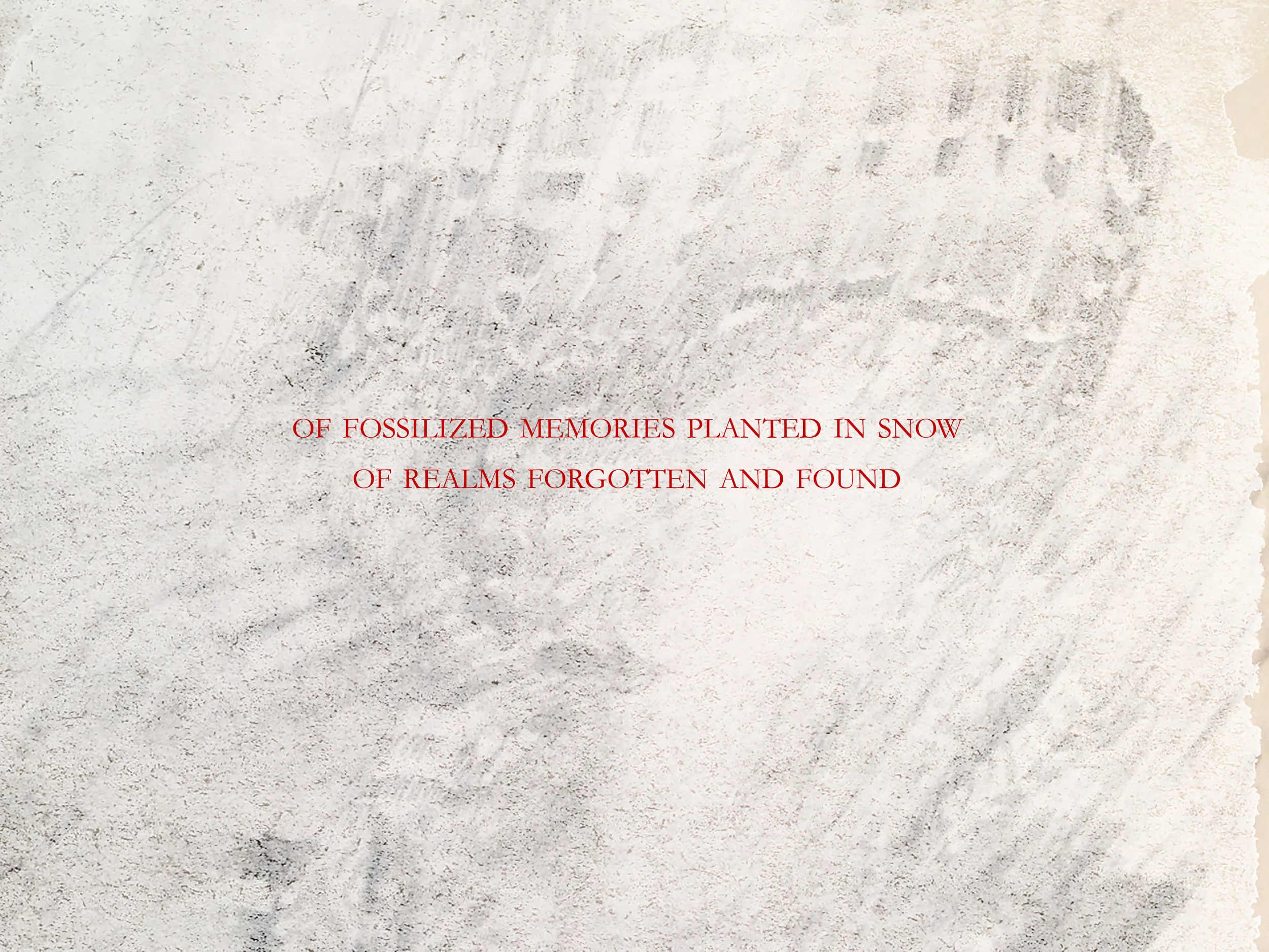 of fossilized memories.jpeg