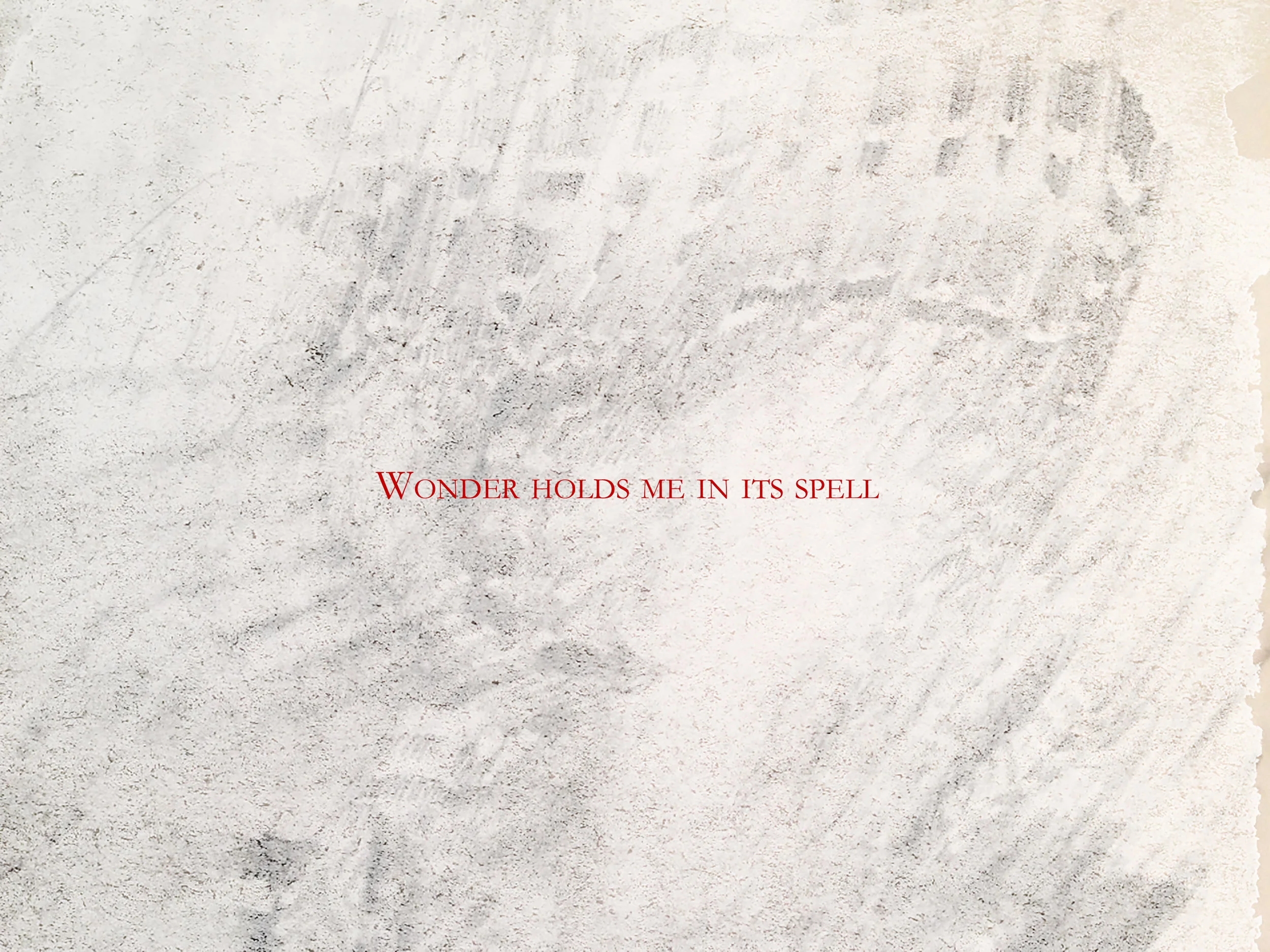 wonder holds me.jpeg