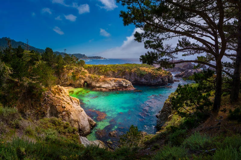 Point Lobos, near my home on the Monterey Peninsula. We are so going here on our retreat!