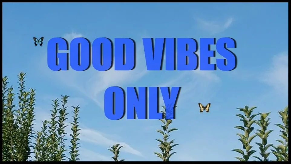 PIC MONKEY BLUE.jpg