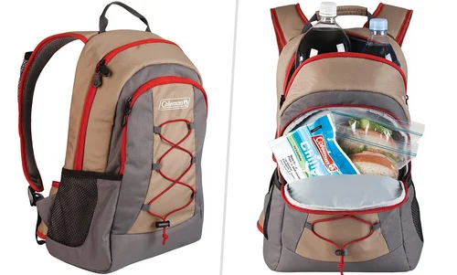 Best Lunch Box Backpack For Adults - 11 Lunch Box Backpack Options ...