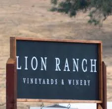 Mixed terrain training rides & wine tasting