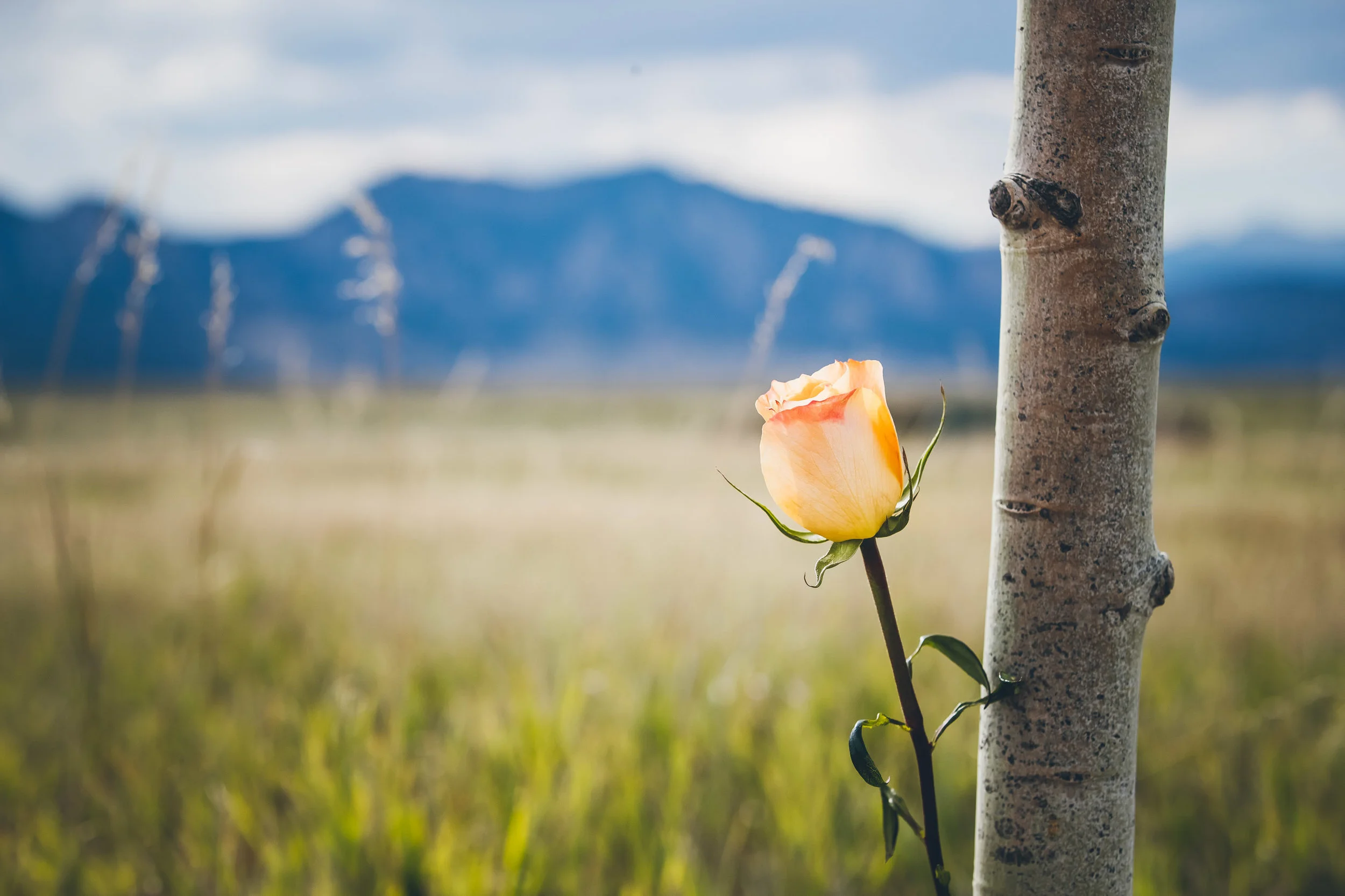 180825JordanZach_Boulder_2018_2224.jpg