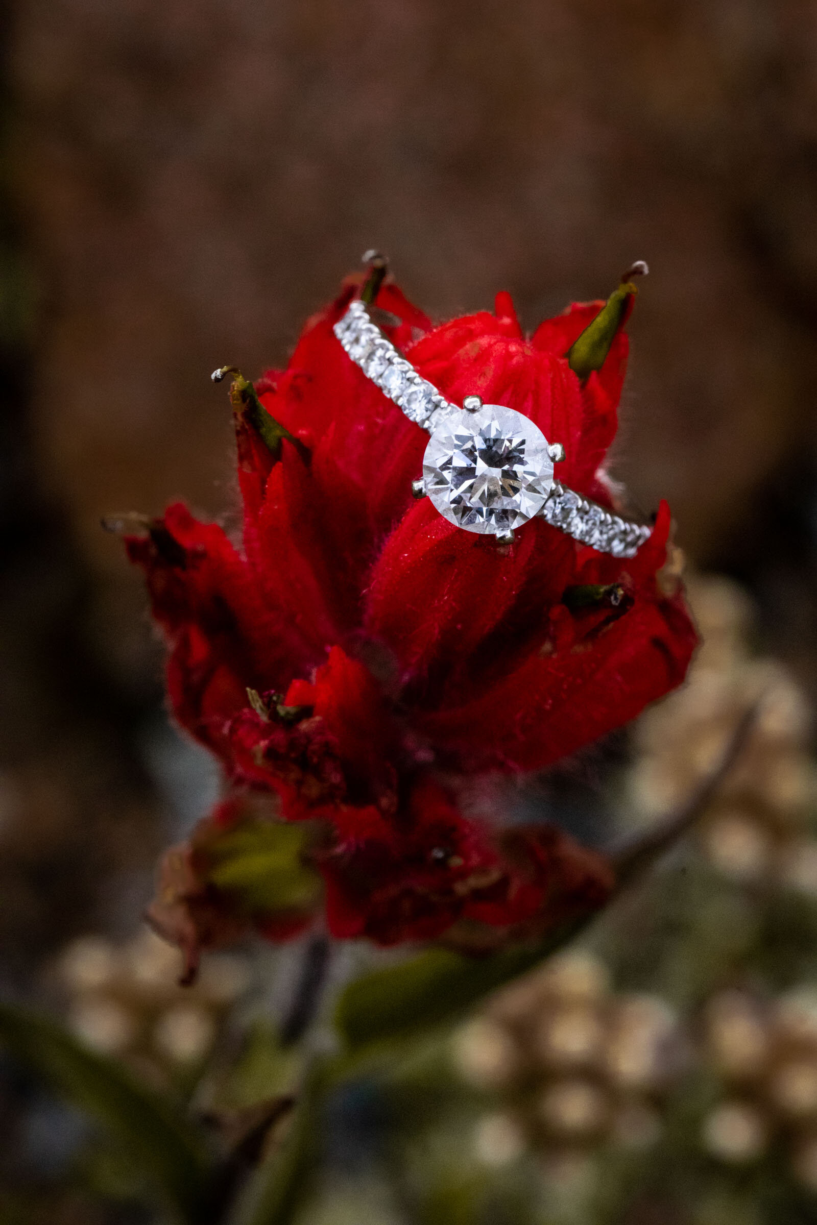 200713_LaurenBlakeEngagements_LovelandPass-411.jpg