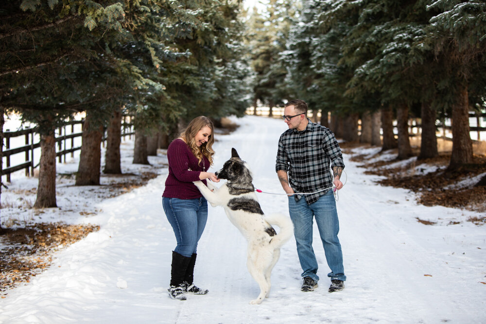 Ugly Christmas Sweaters Engagement Shoot - Deer Creek Valley Ranch
