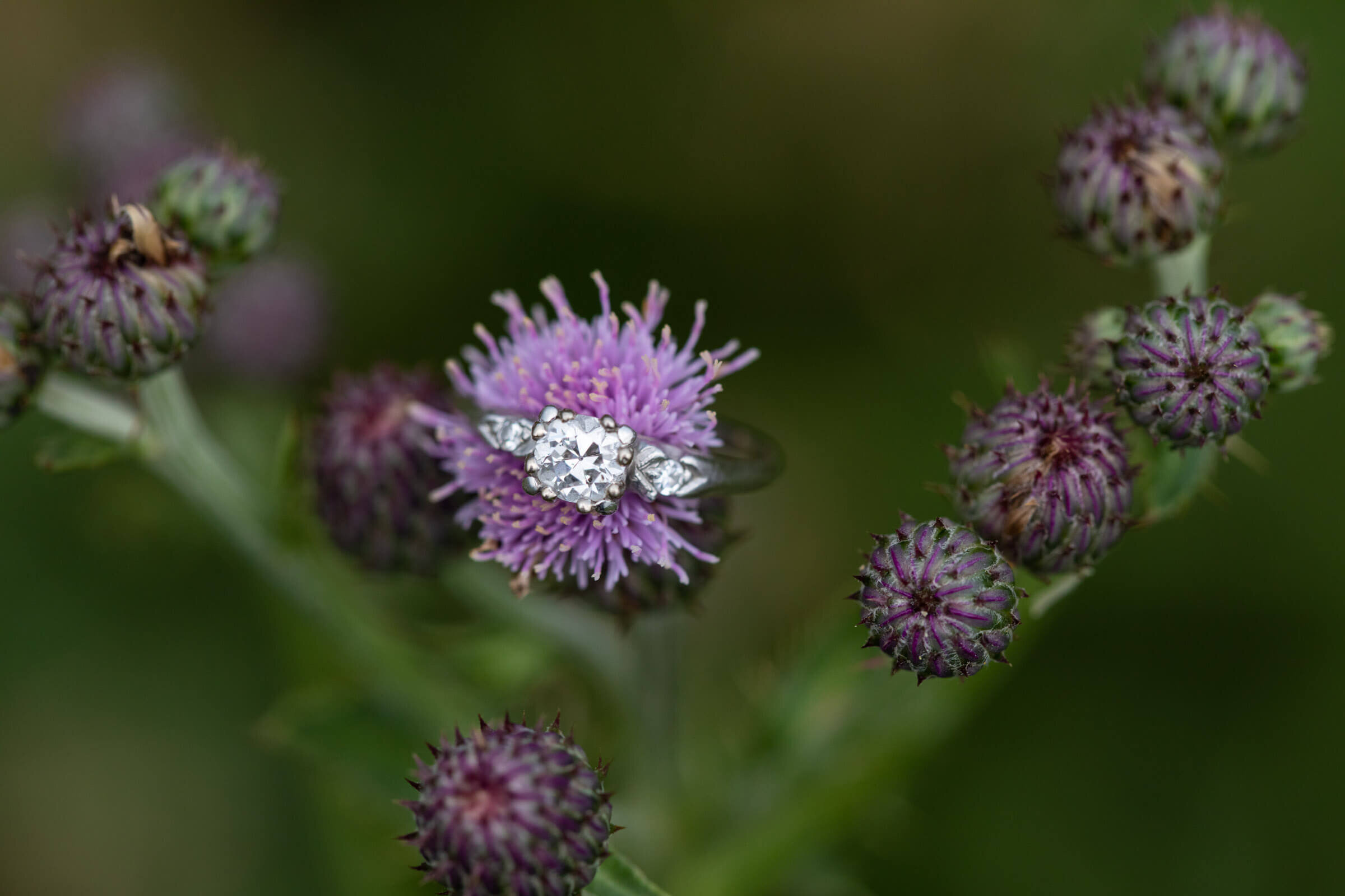 Engagment-Photographer-PiperTyler-559.jpg