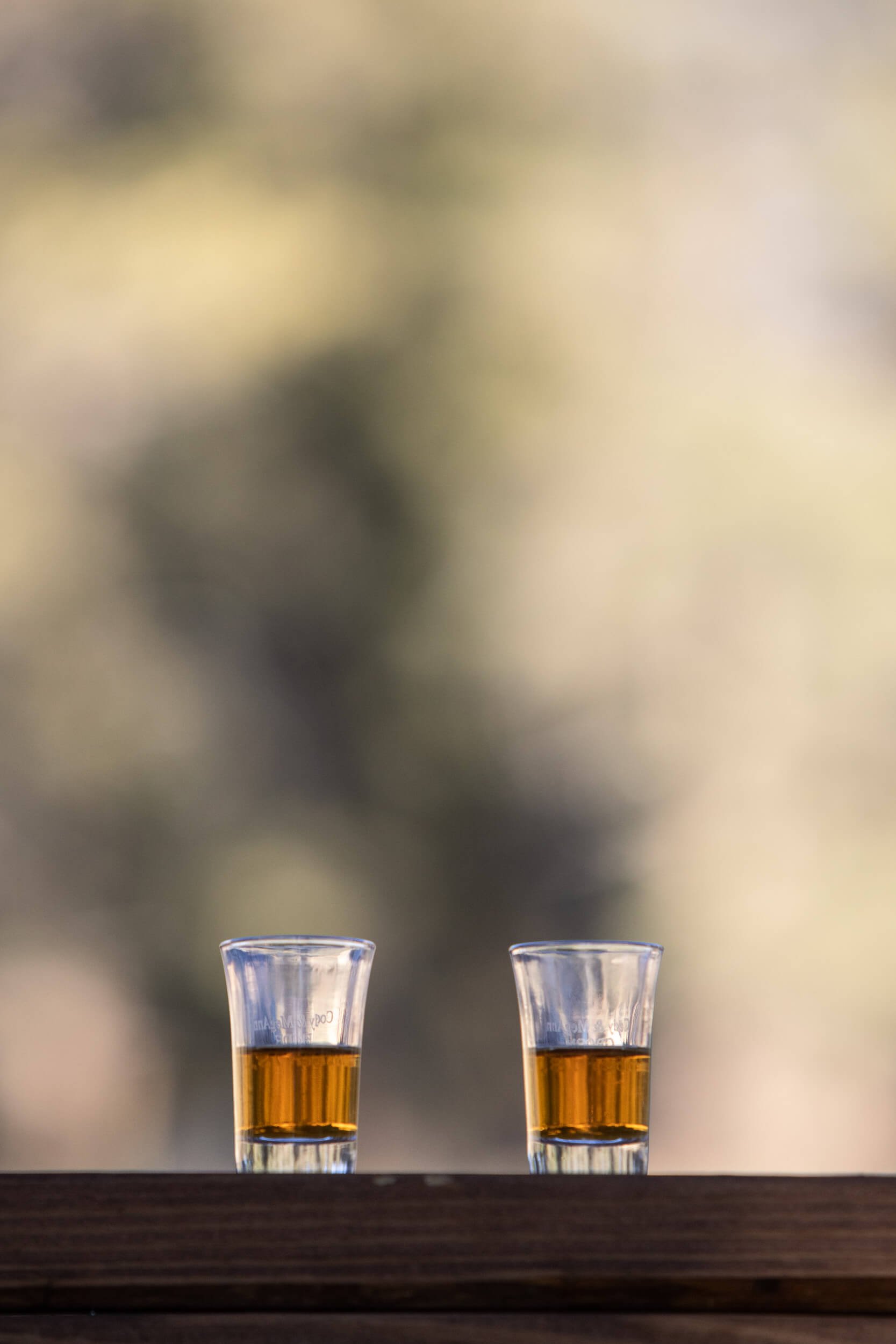 Wedding Unity Shot Glasses