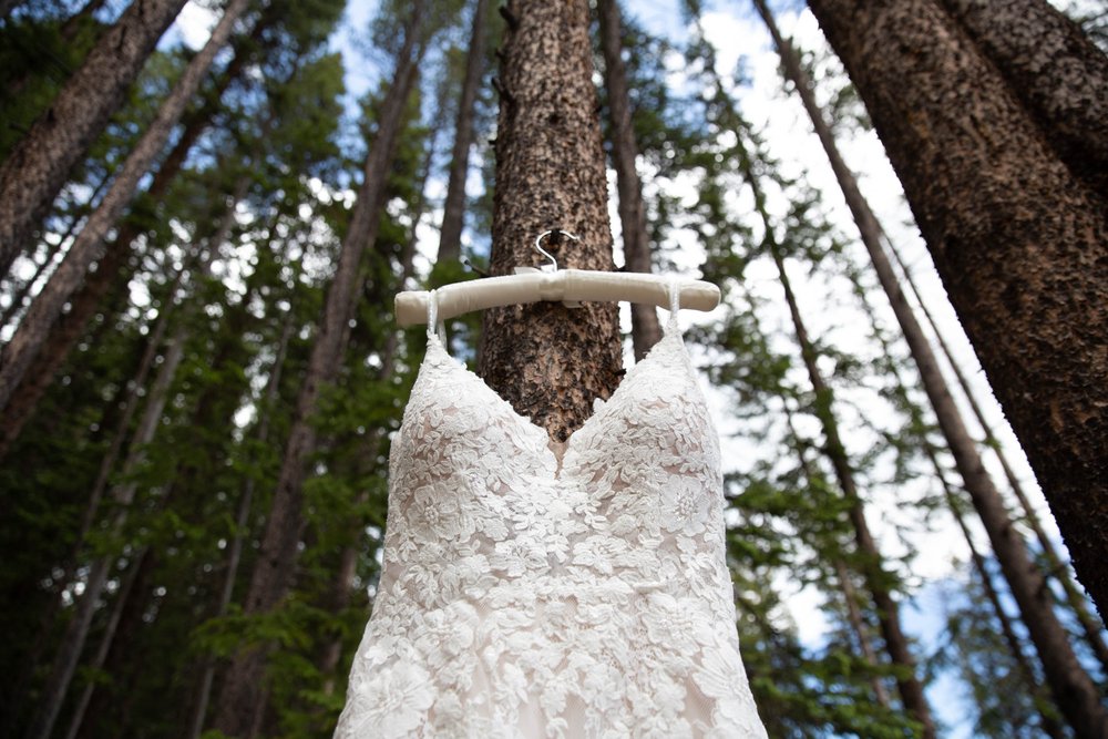 Wedding Dress hanging in the trees in Winter Park