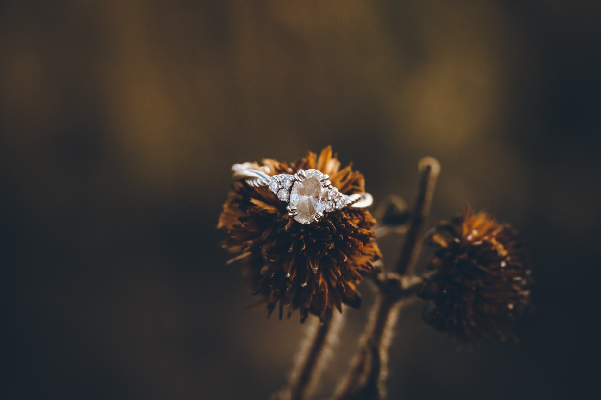 Engagement Ring Photos (Copy)