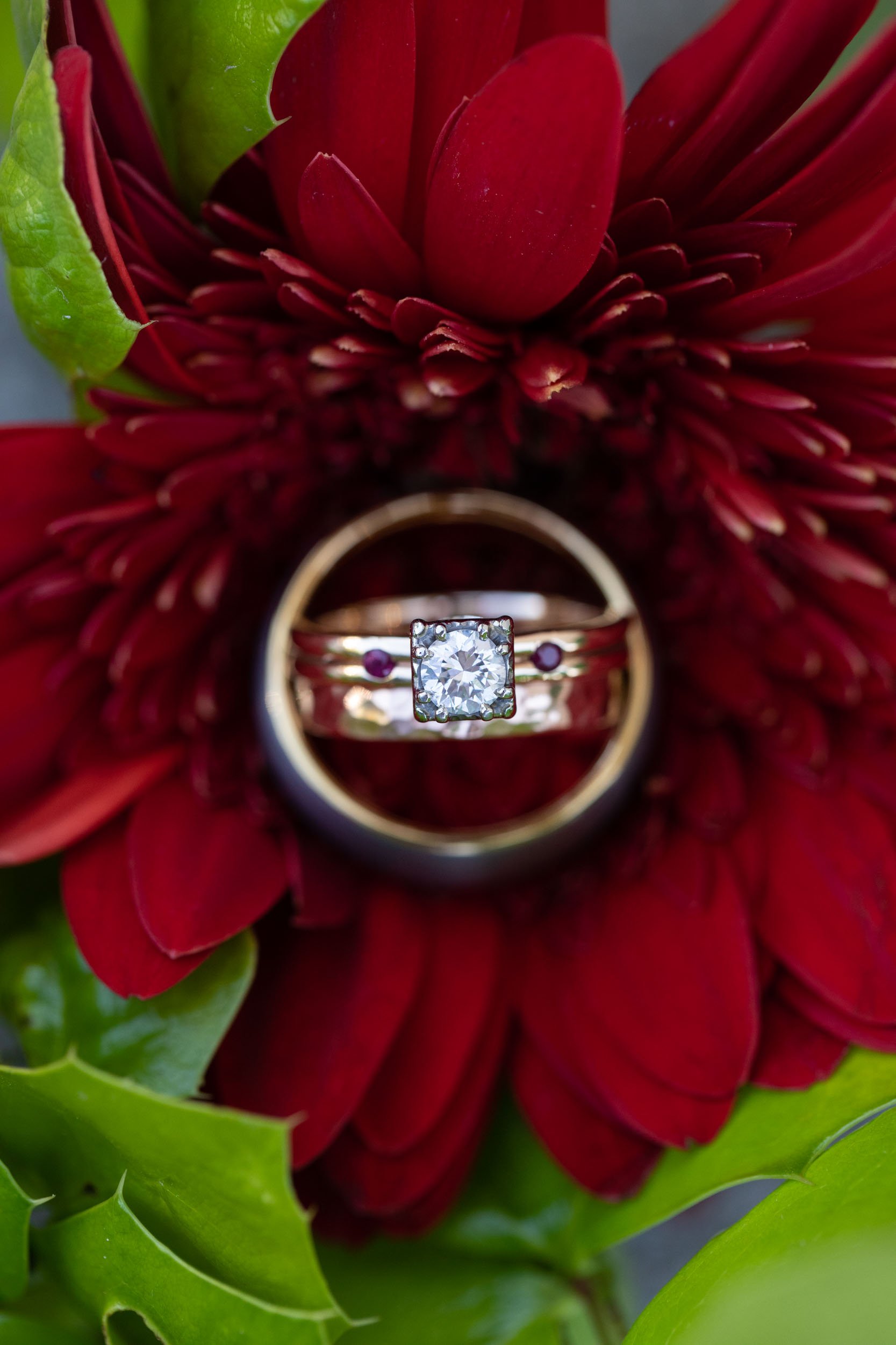 Wedding Rings in a park in Colorado by CliftonMarie Photography