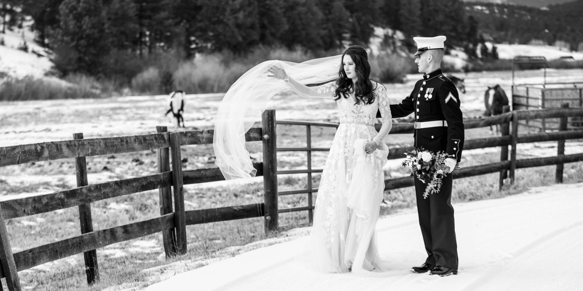Colorado Wedding Photography Reviews