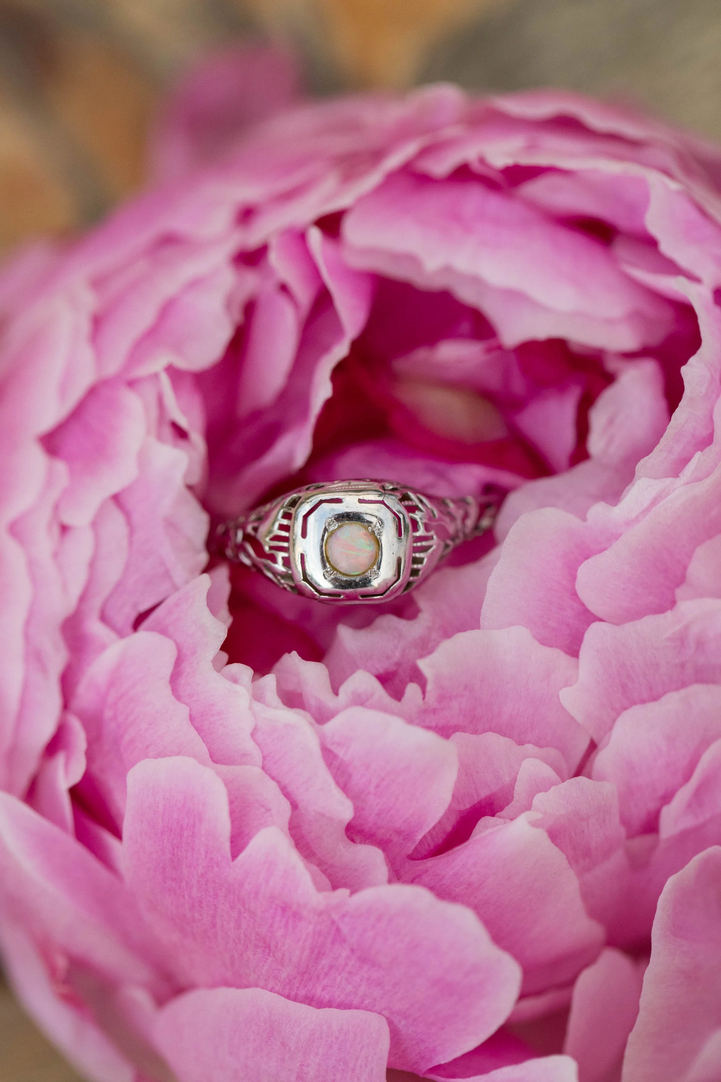 Casa-Vista-Wedding-Fraser42.jpg
