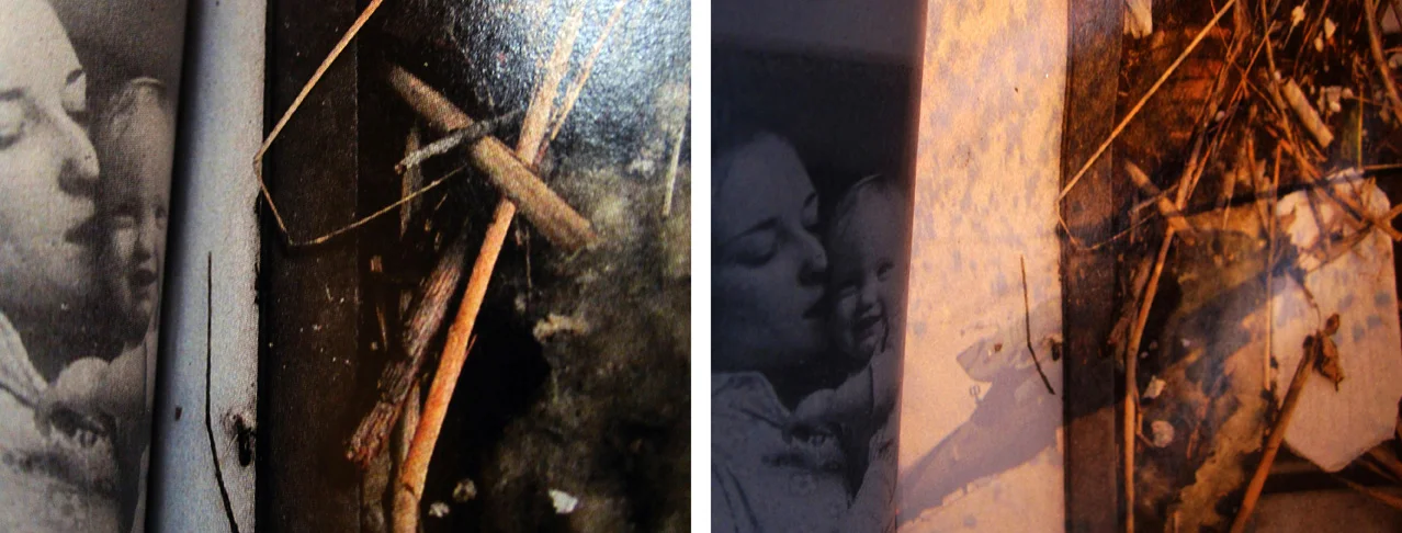 photograph on archival pigment print, 17" x 42", 2015