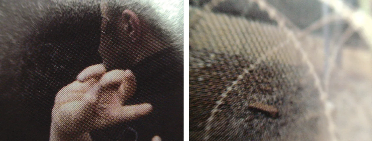 photograph on archival pigment print, 17" x 42", 2010