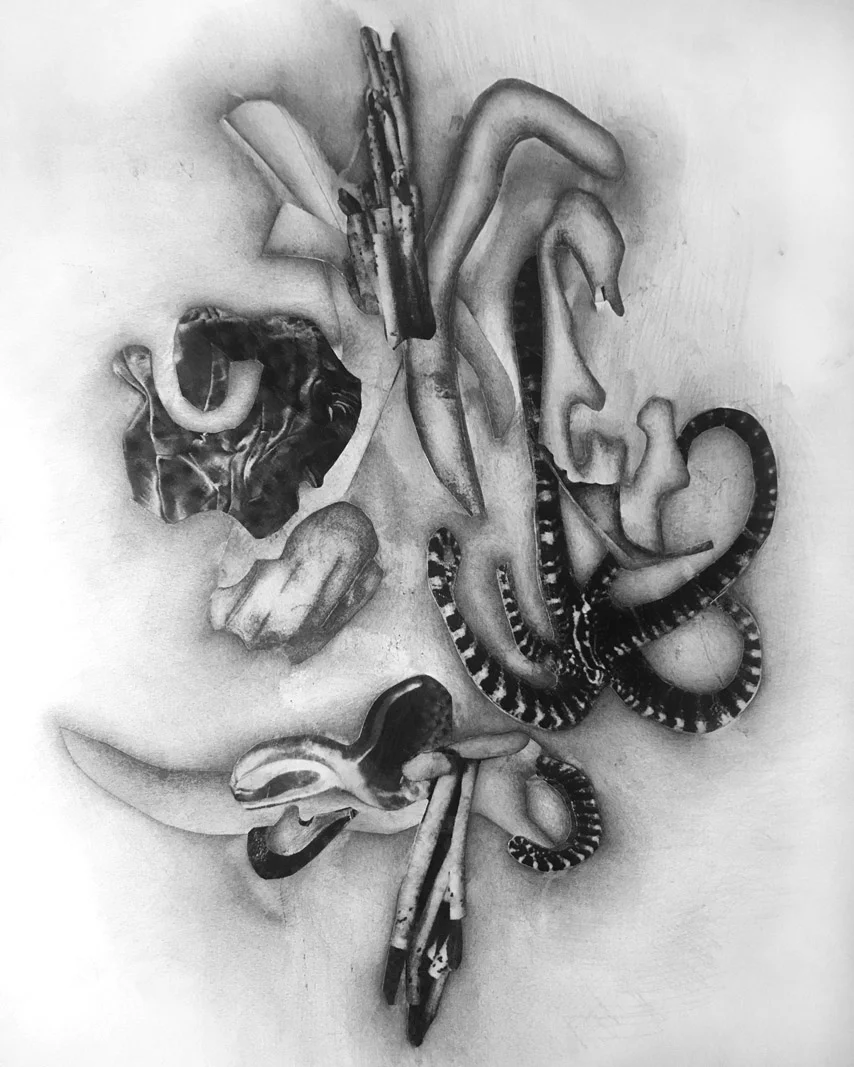 graphite and paper on paper, 17" x 14", 2018