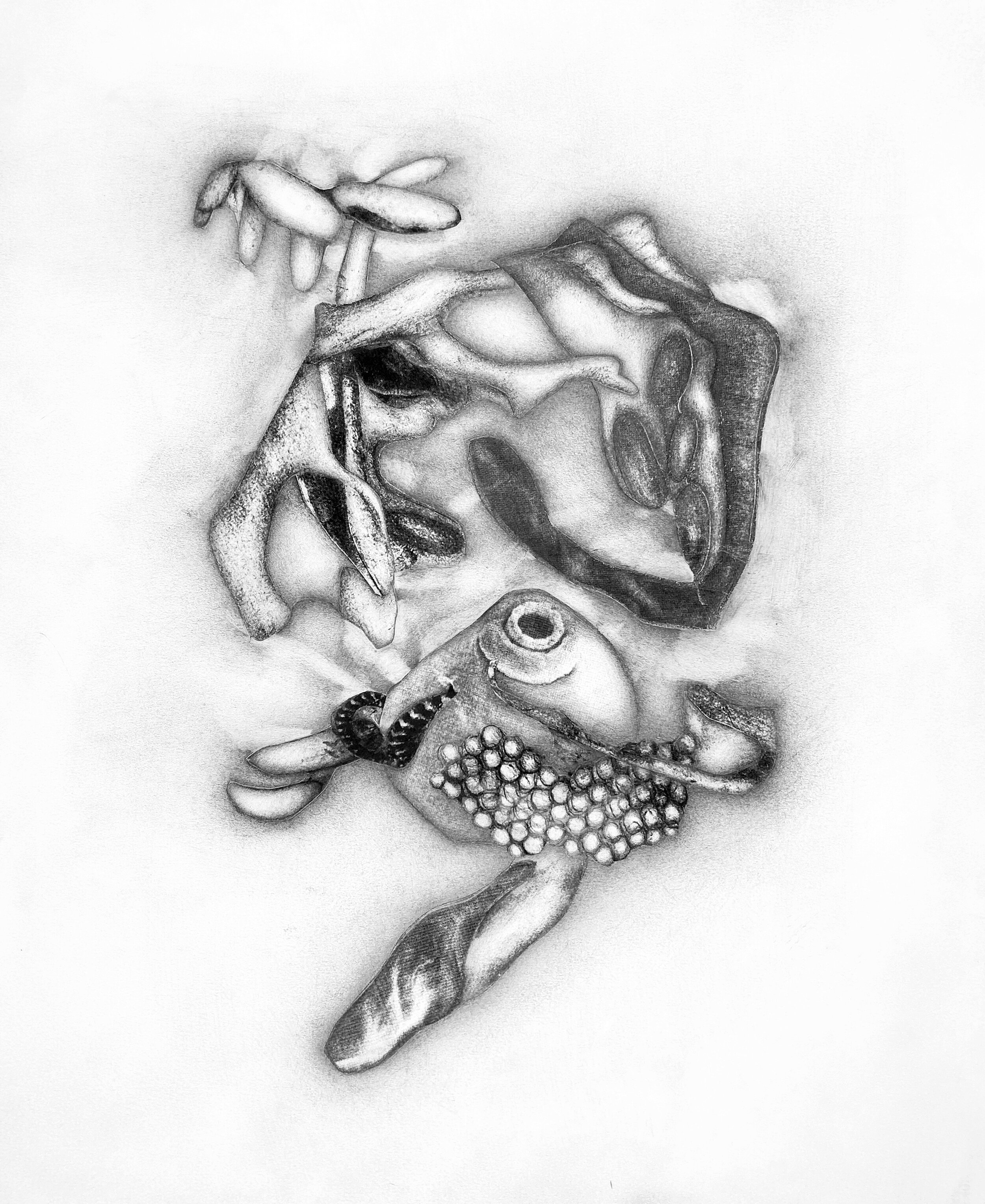 Bodies #13-b, graphite and paper on paper, 17"x14" 2017