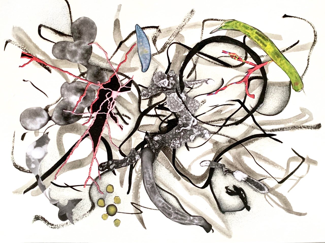   Brains 0915 ,  2021, graphite, India ink, printer ink and paper on paper, 9"x12"  