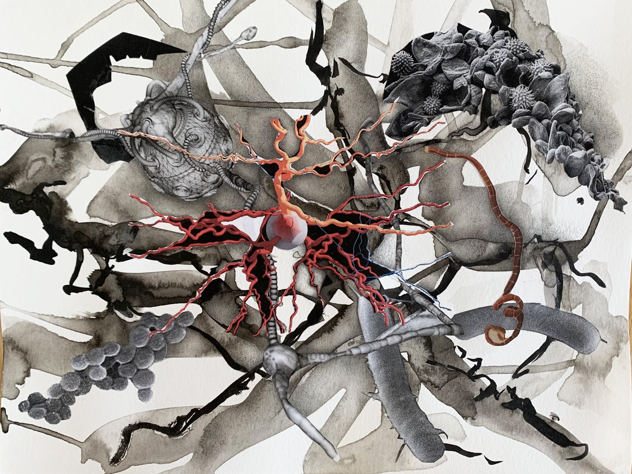   Brains 1809 , 2022, graphite, India ink, printer ink and paper on paper, 9"x12" 